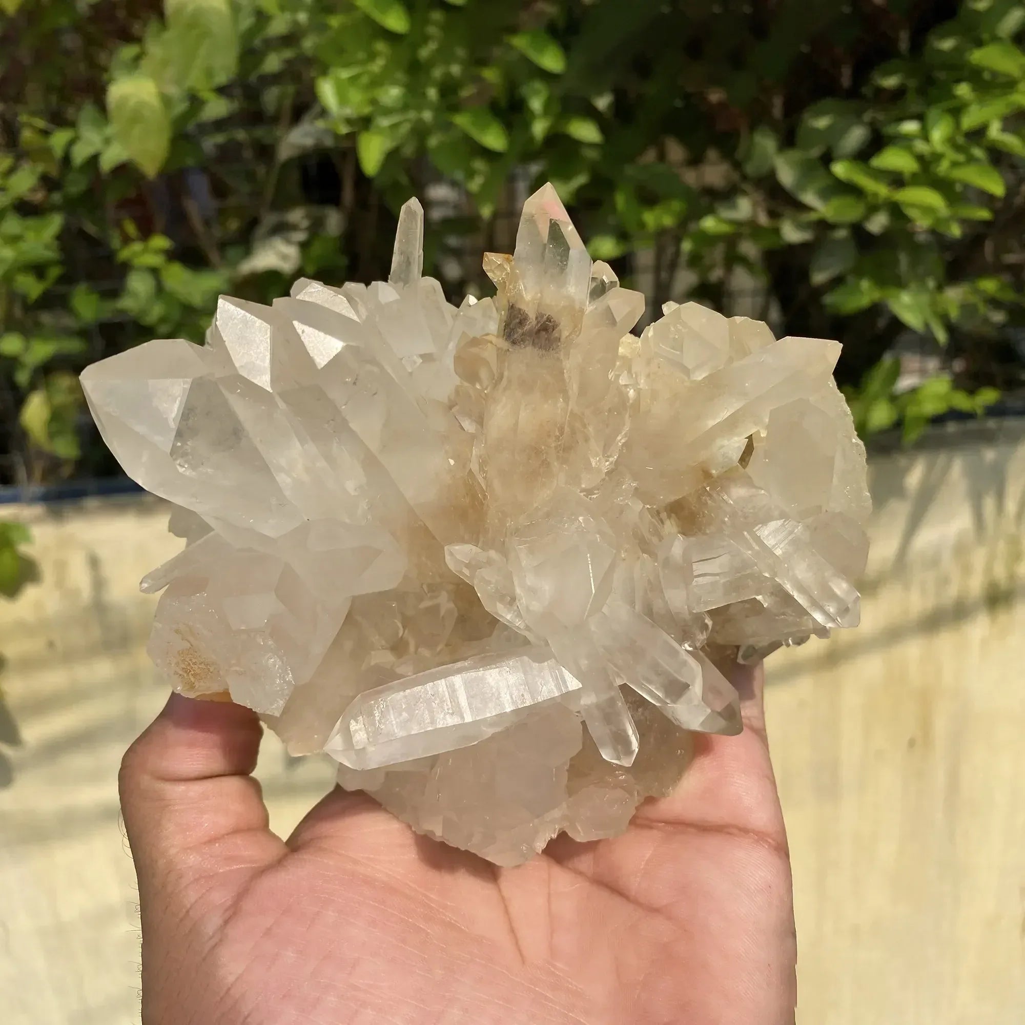 Natural Himalayan White + Yellow Quartz Cluster 940g Himalayan Quartz
