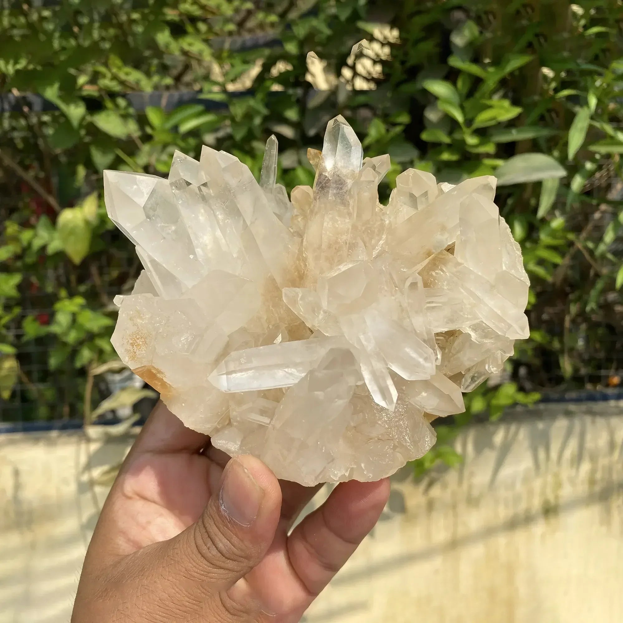 Natural Himalayan White + Yellow Quartz Cluster 940g Himalayan Quartz