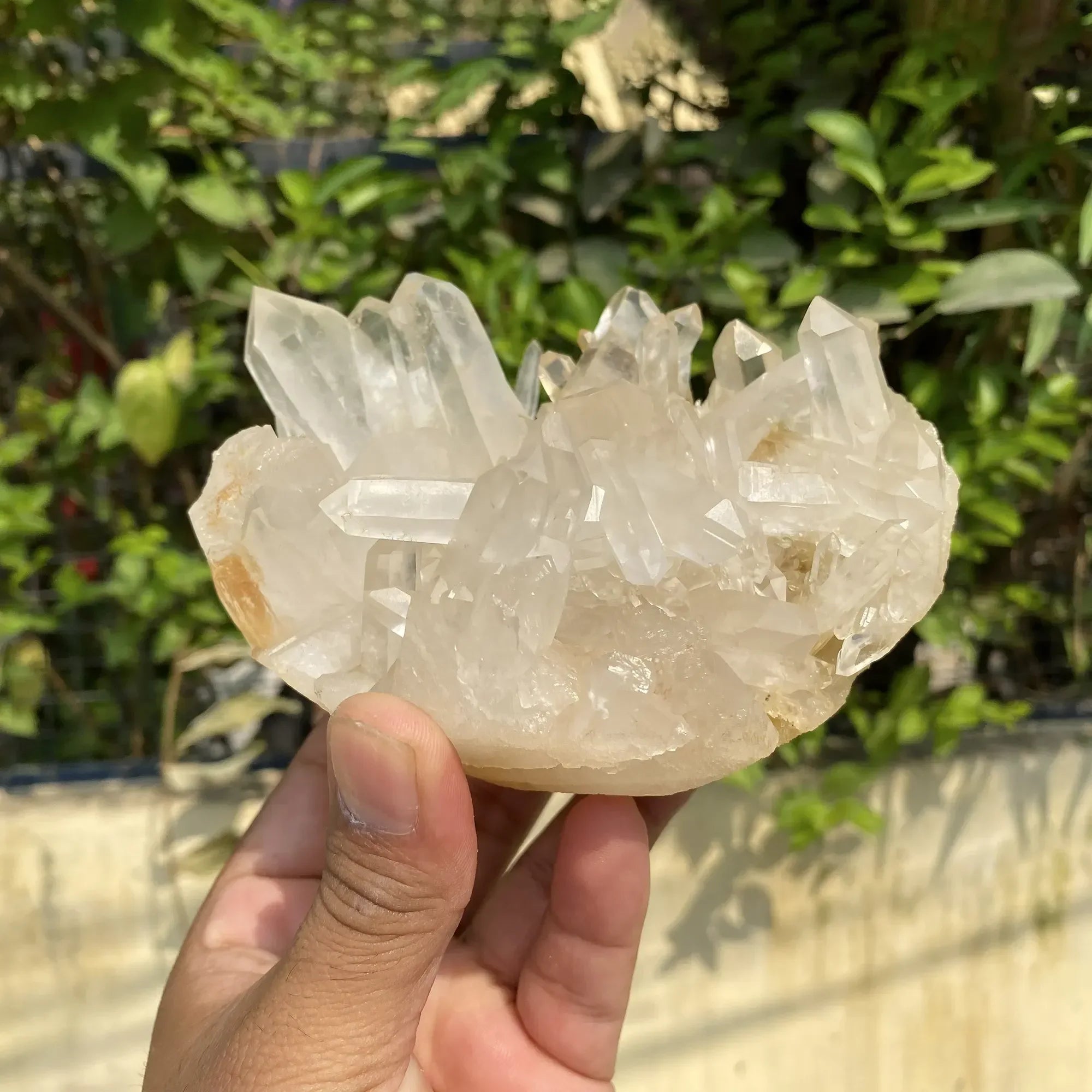 Natural Himalayan White + Yellow Quartz Cluster 940g Himalayan Quartz