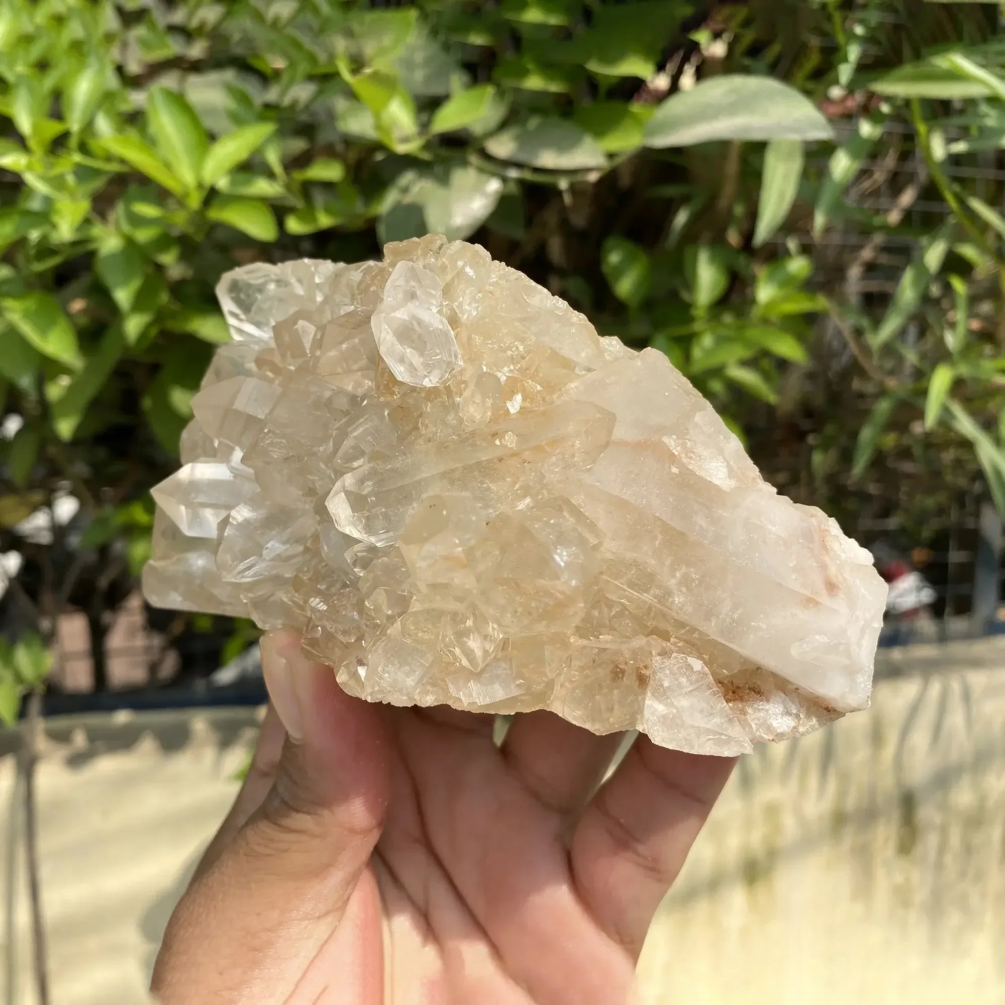 Natural Himalayan Pink Quartz Cluster 600g Himalayan Quartz
