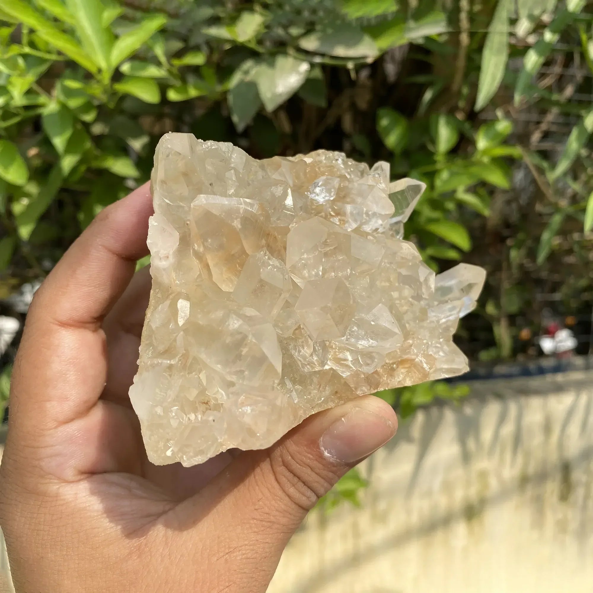 Natural Himalayan Pink Quartz Cluster 600g Himalayan Quartz