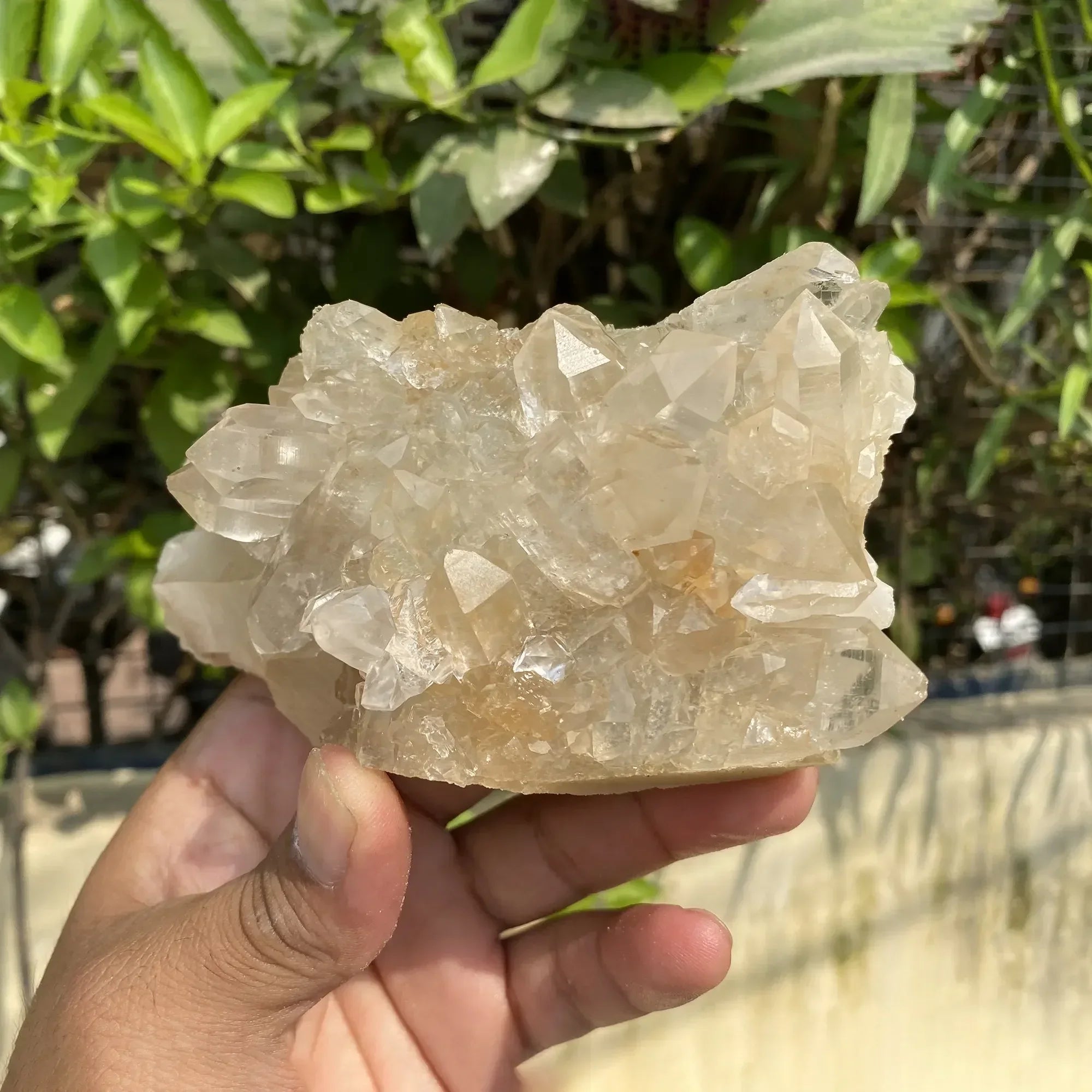 Natural Himalayan Pink Quartz Cluster 600g Himalayan Quartz
