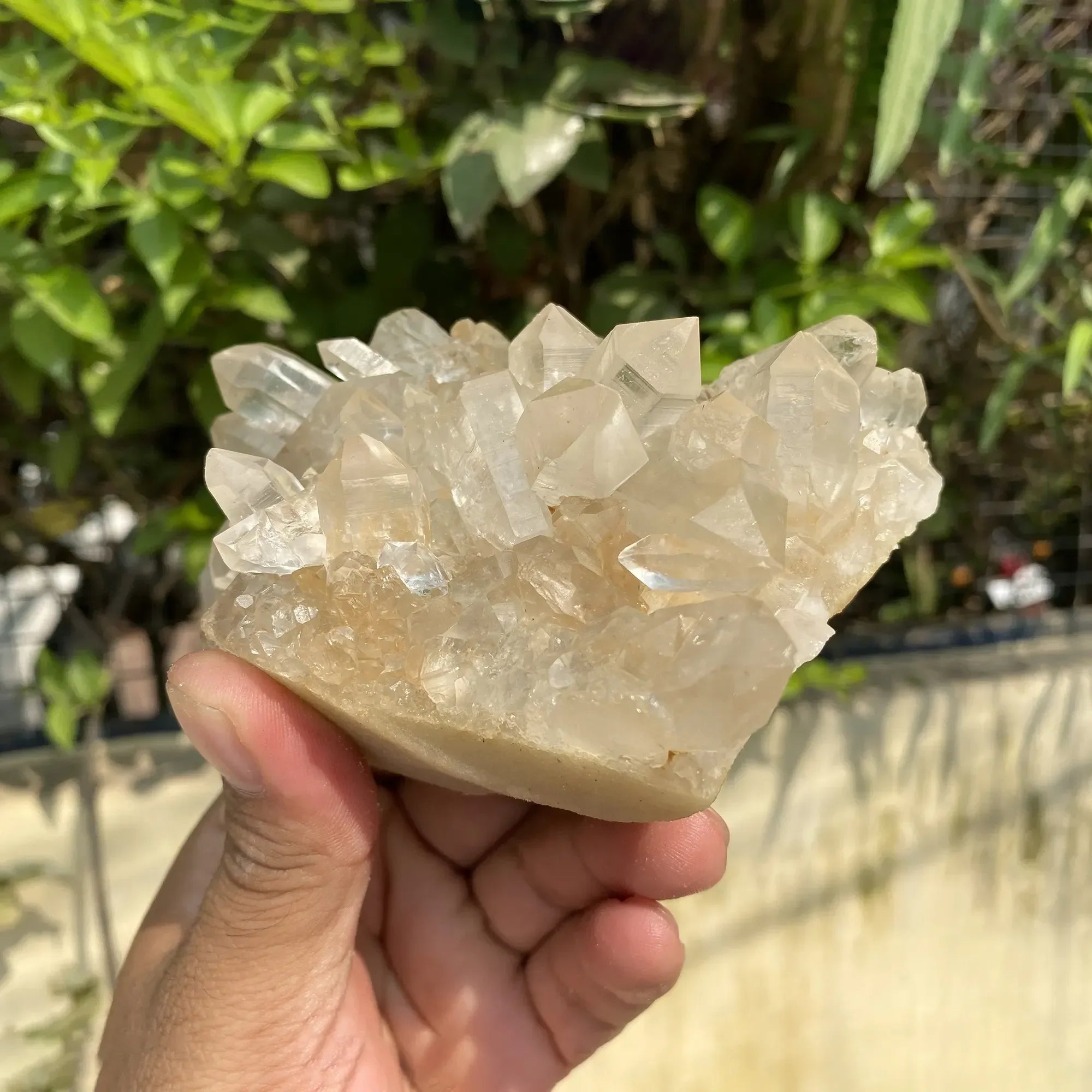 Natural Himalayan Pink Quartz Cluster 600g Himalayan Quartz