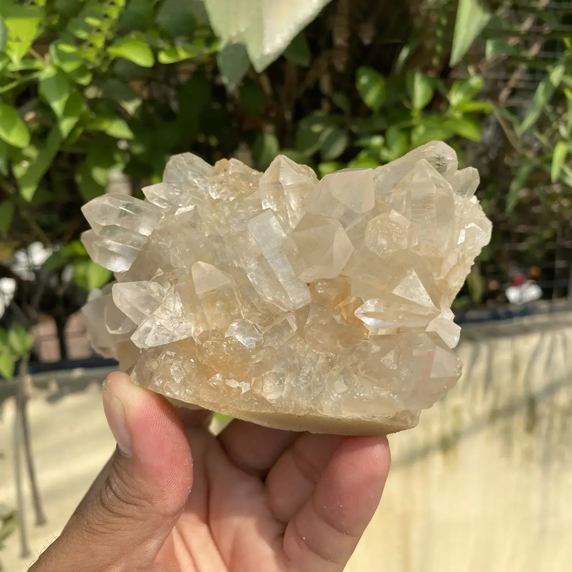 Natural Himalayan Pink Quartz Cluster 600g Himalayan Quartz