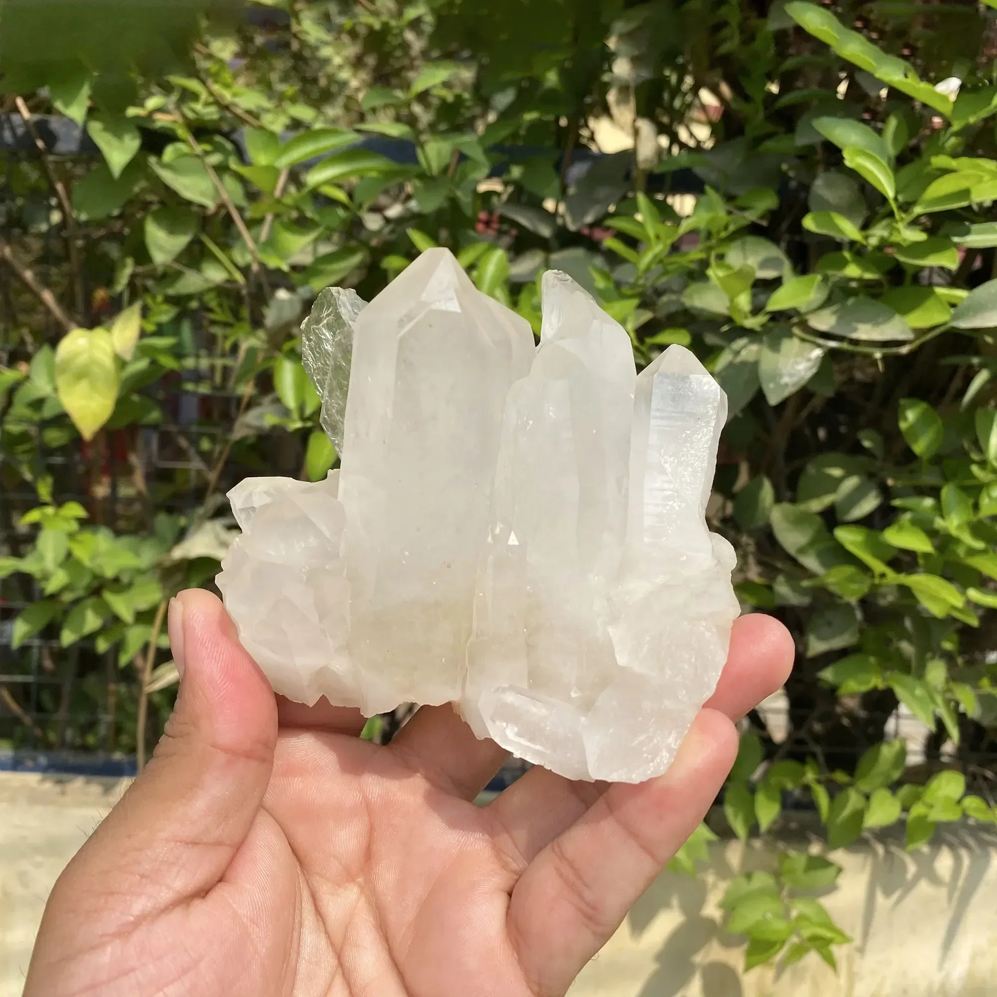 Natural Himalayan White Quartz Cluster 430g Himalayan Quartz