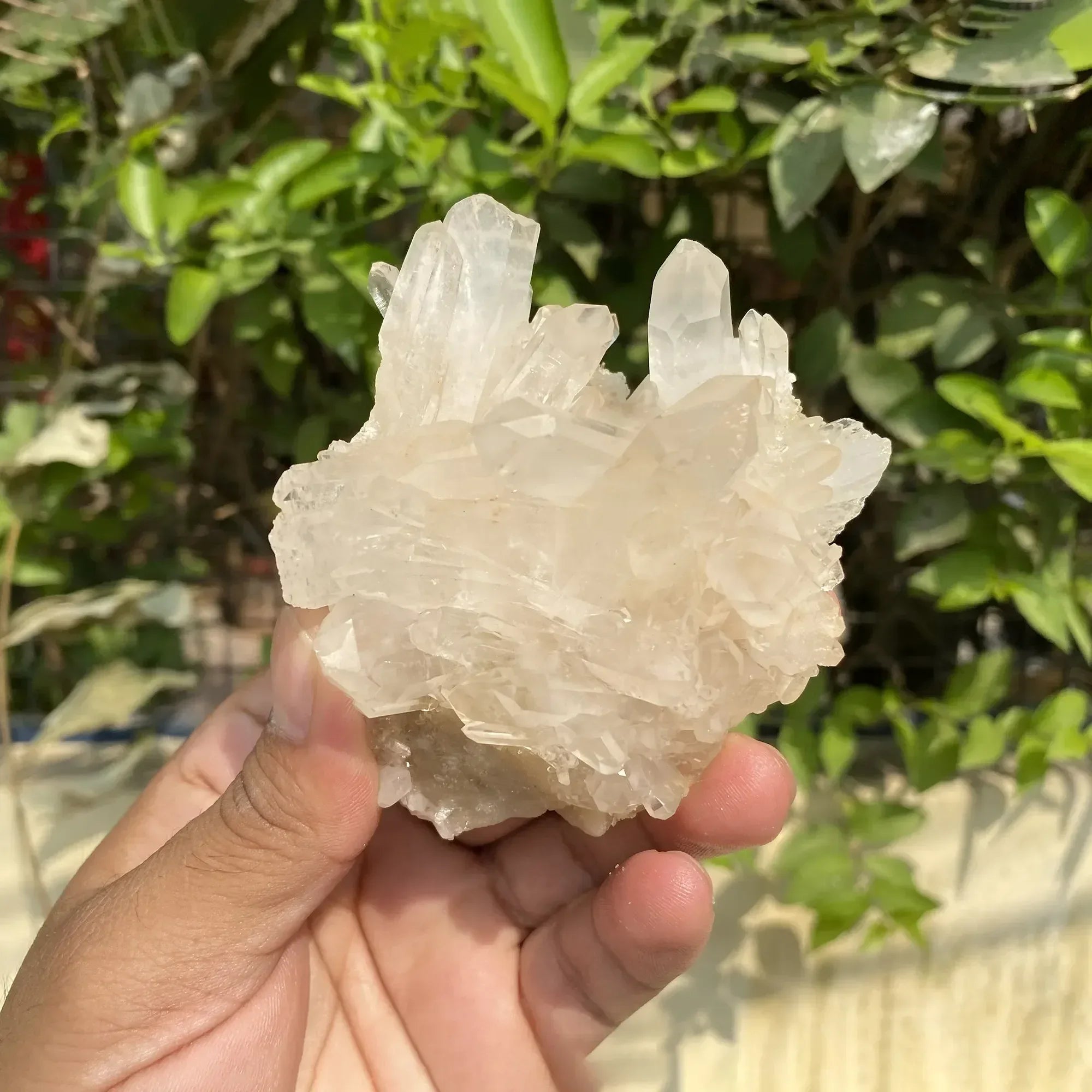 Natural Himalayan White Quartz Cluster 225g Himalayan Quartz