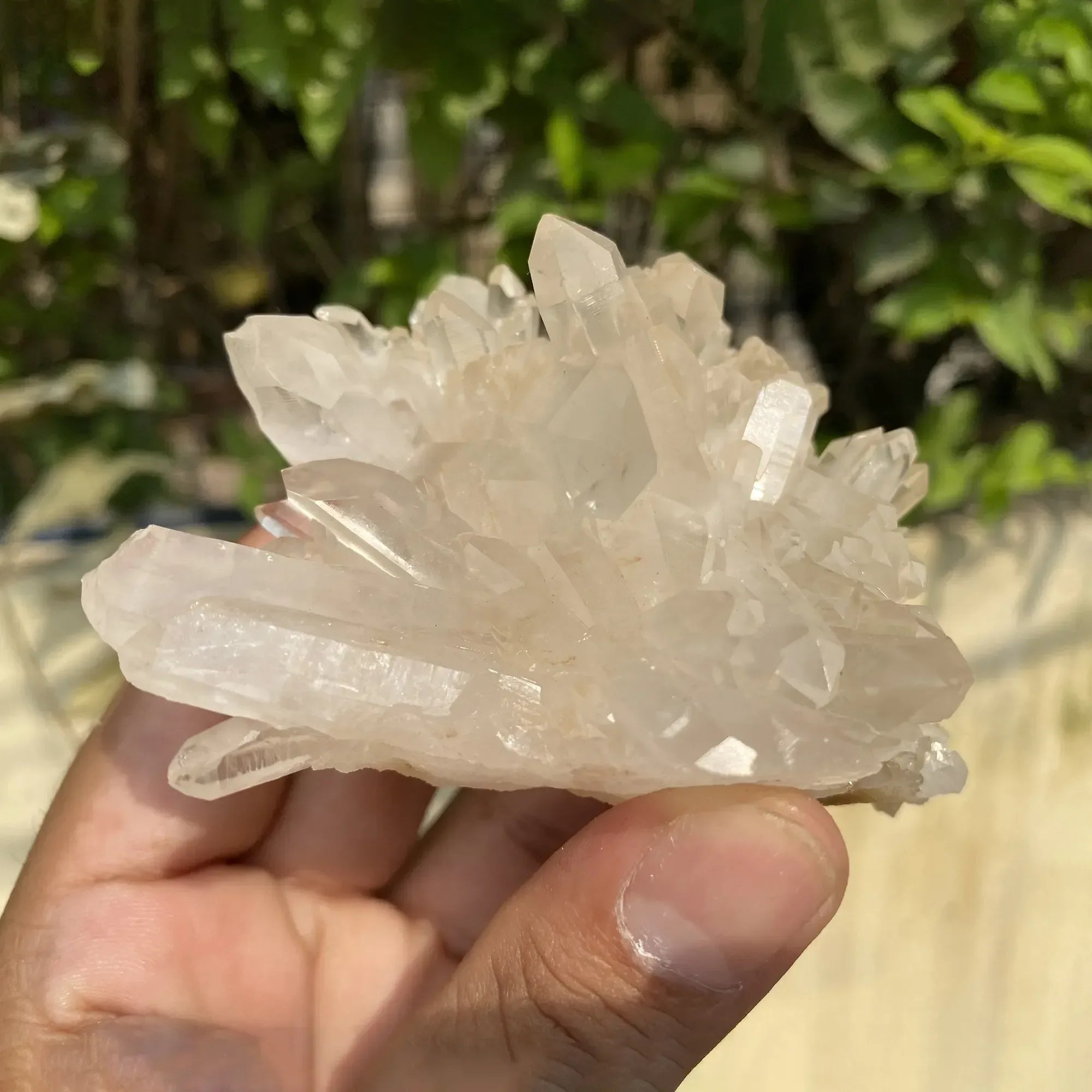 Natural Himalayan White Quartz Cluster 225g Himalayan Quartz