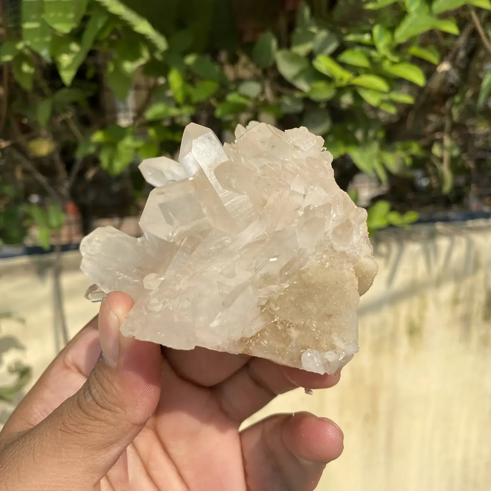 Natural Himalayan White Quartz Cluster 225g Himalayan Quartz