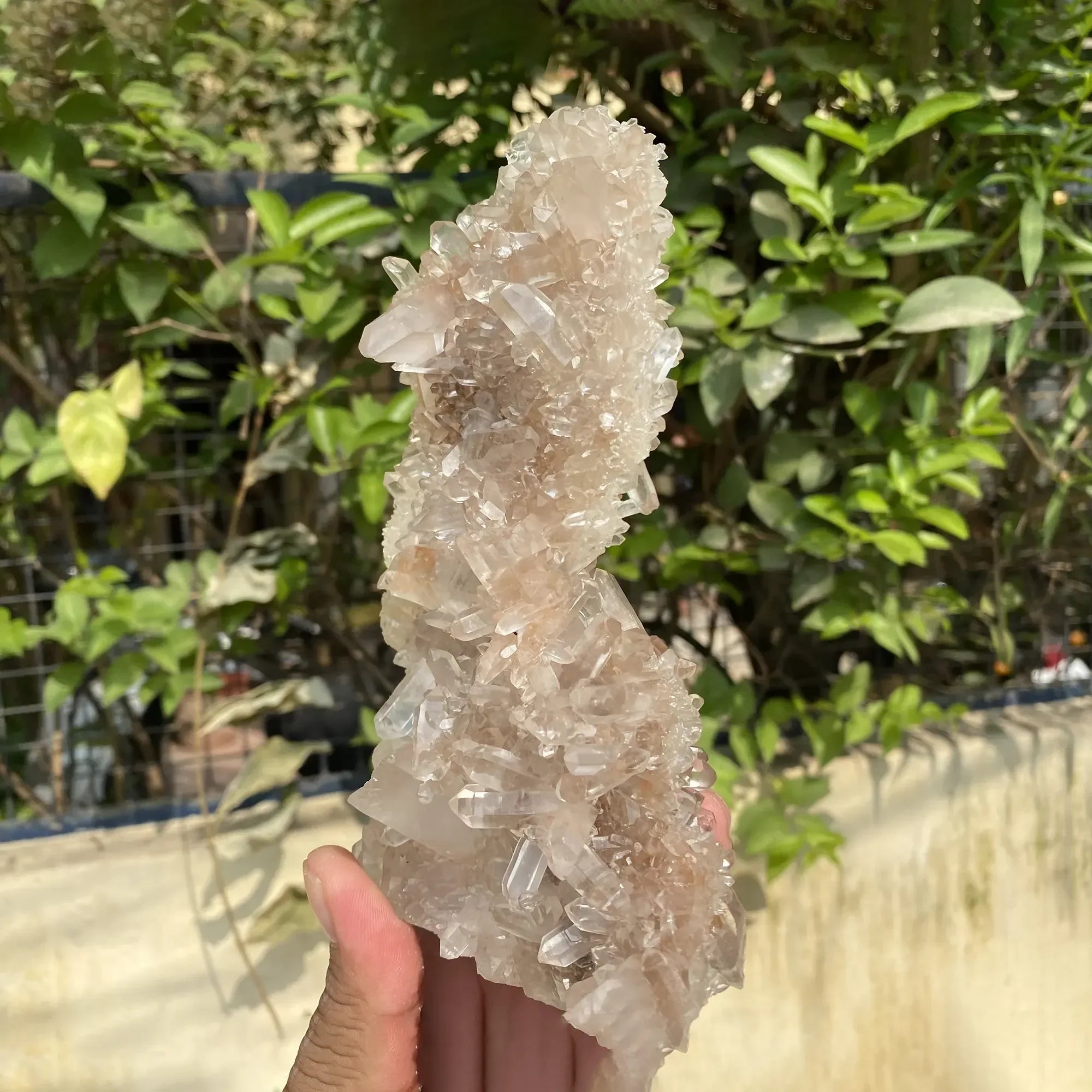 Natural Himalayan Pink Quartz Cluster 630g Himalayan Quartz