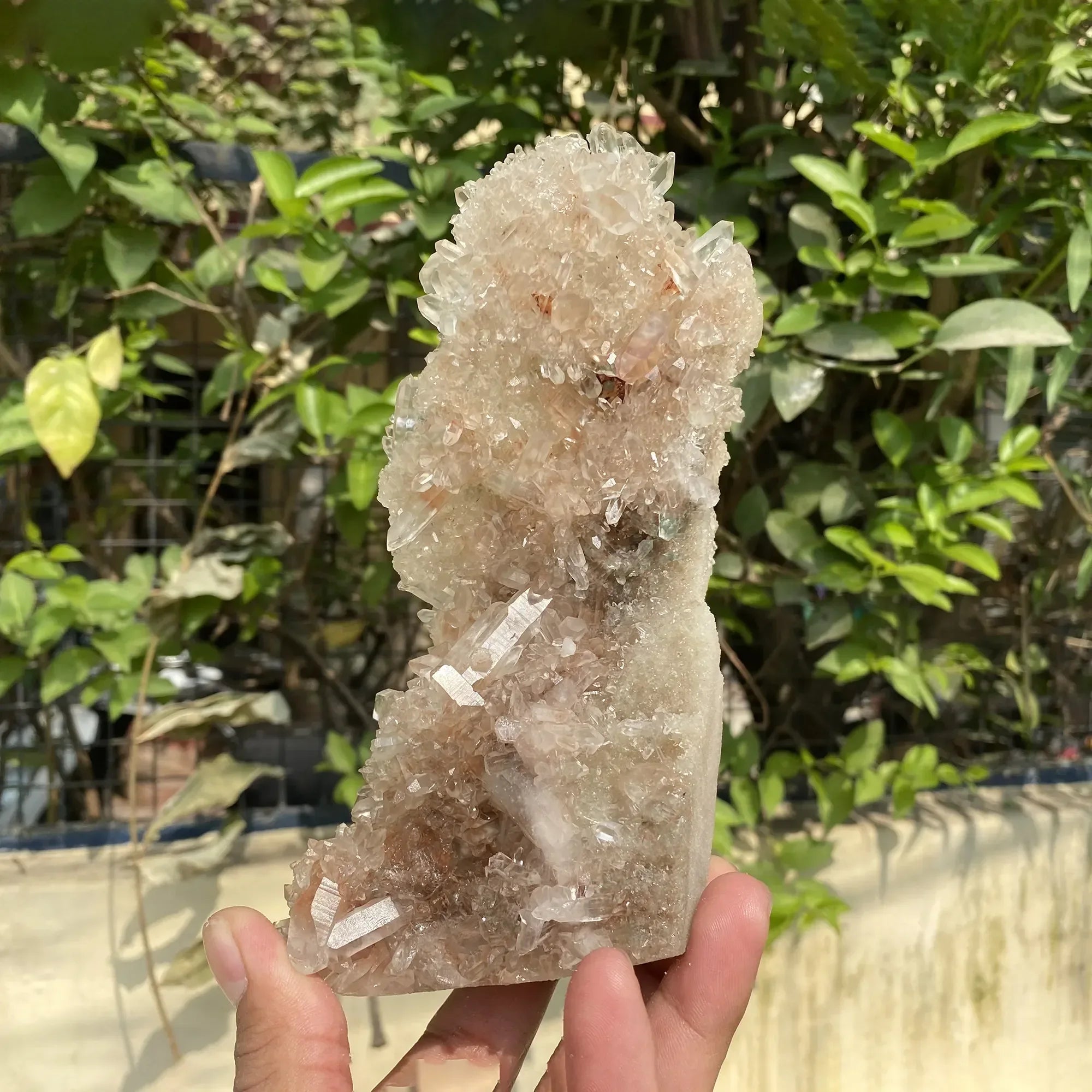 Natural Himalayan Pink Quartz Cluster 630g Himalayan Quartz