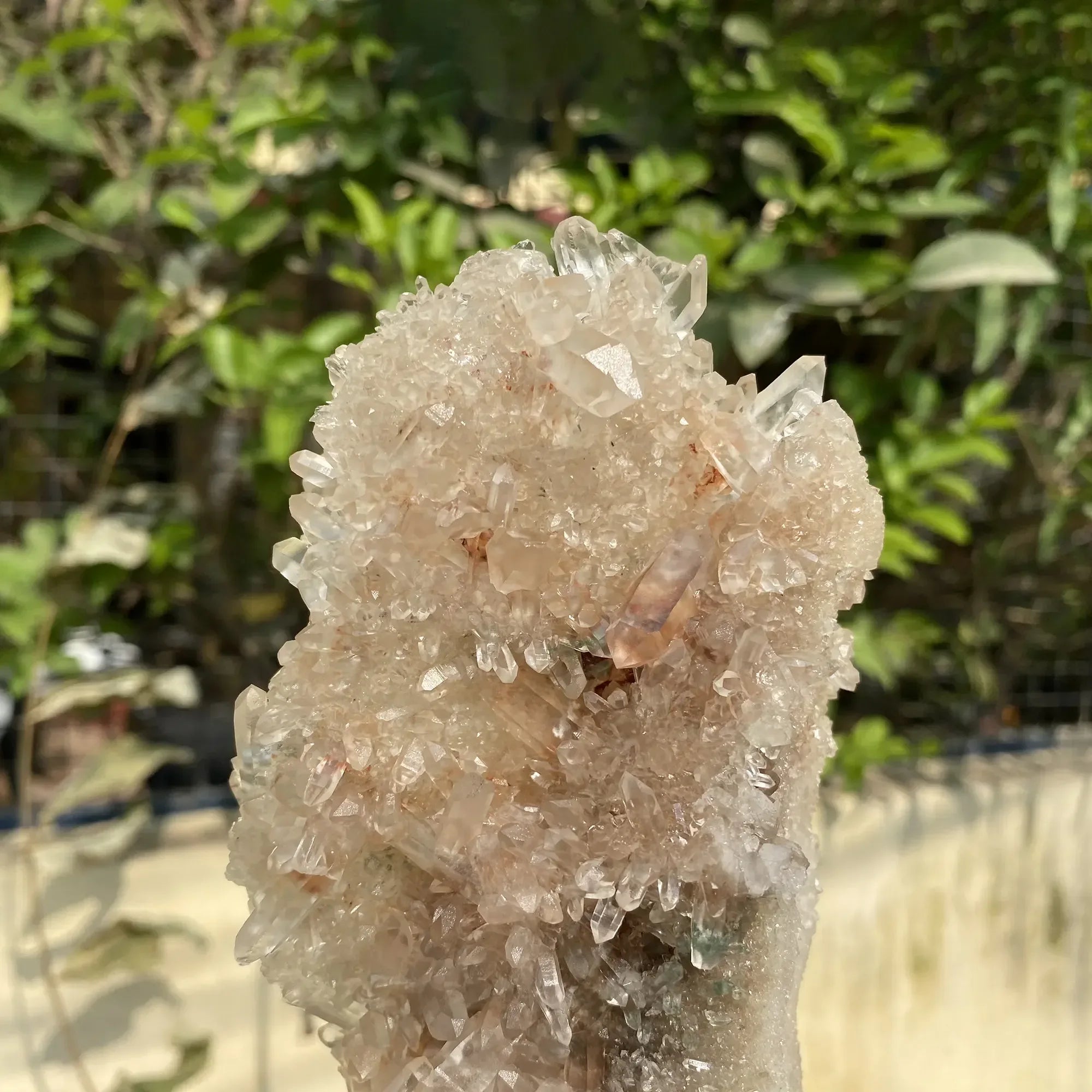 Natural Himalayan Pink Quartz Cluster 630g Himalayan Quartz