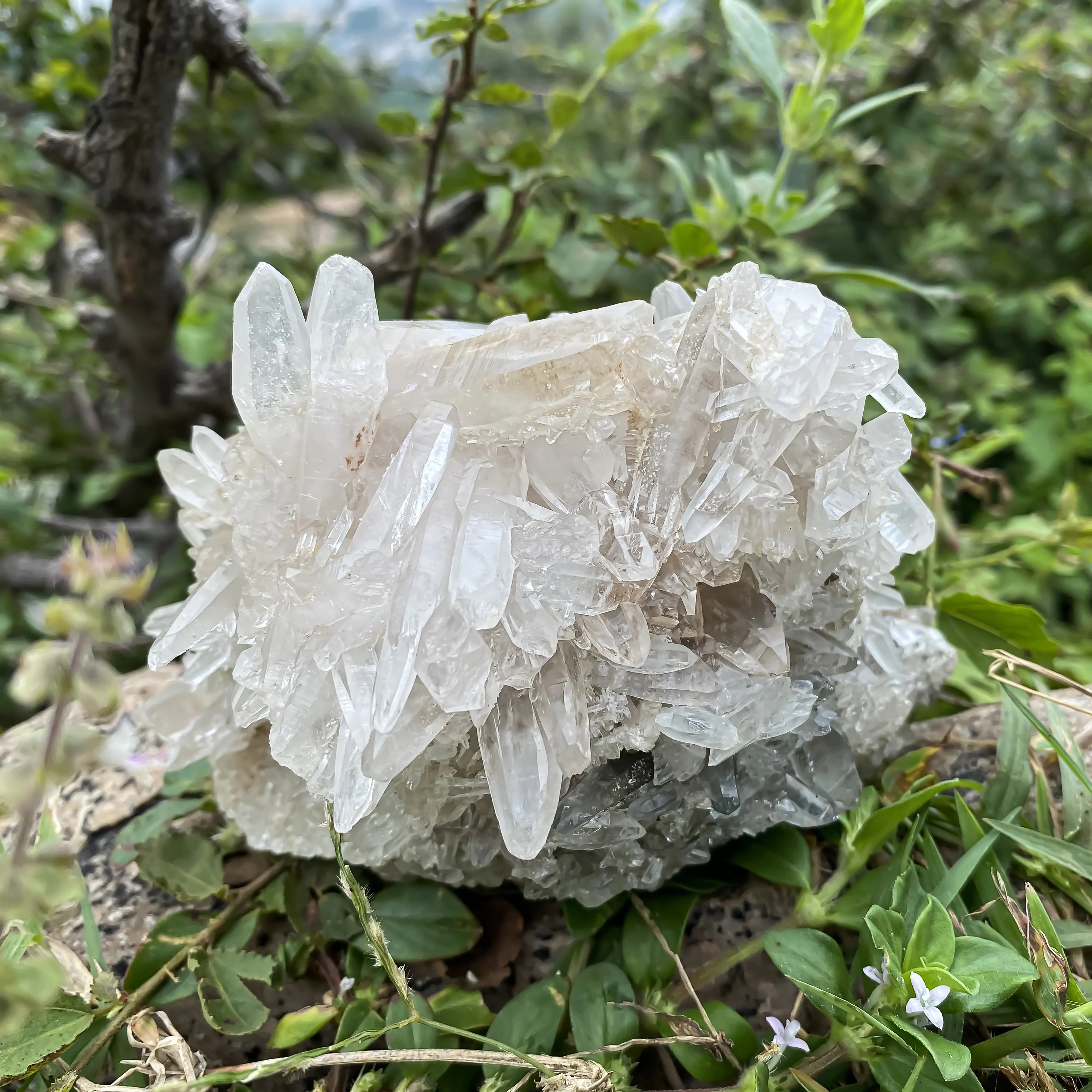 Himalayan White Quartz Cluster 695g  Natural Healing Crystal Stone