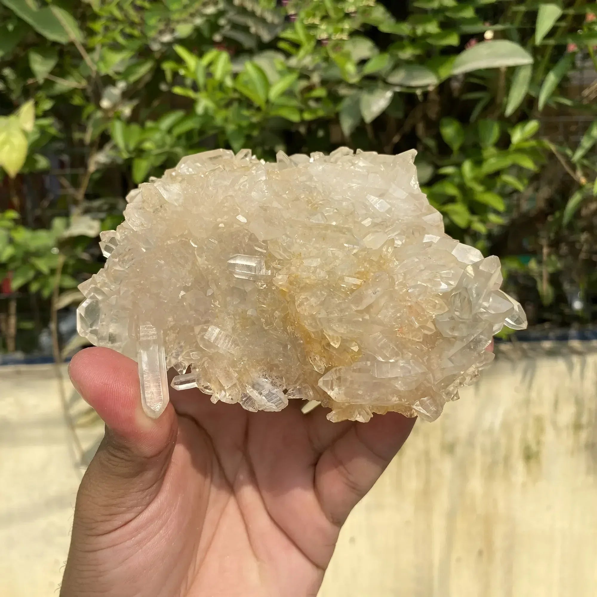 Natural Himalayan White + Yellow Quartz Cluster 670g Himalayan Quartz