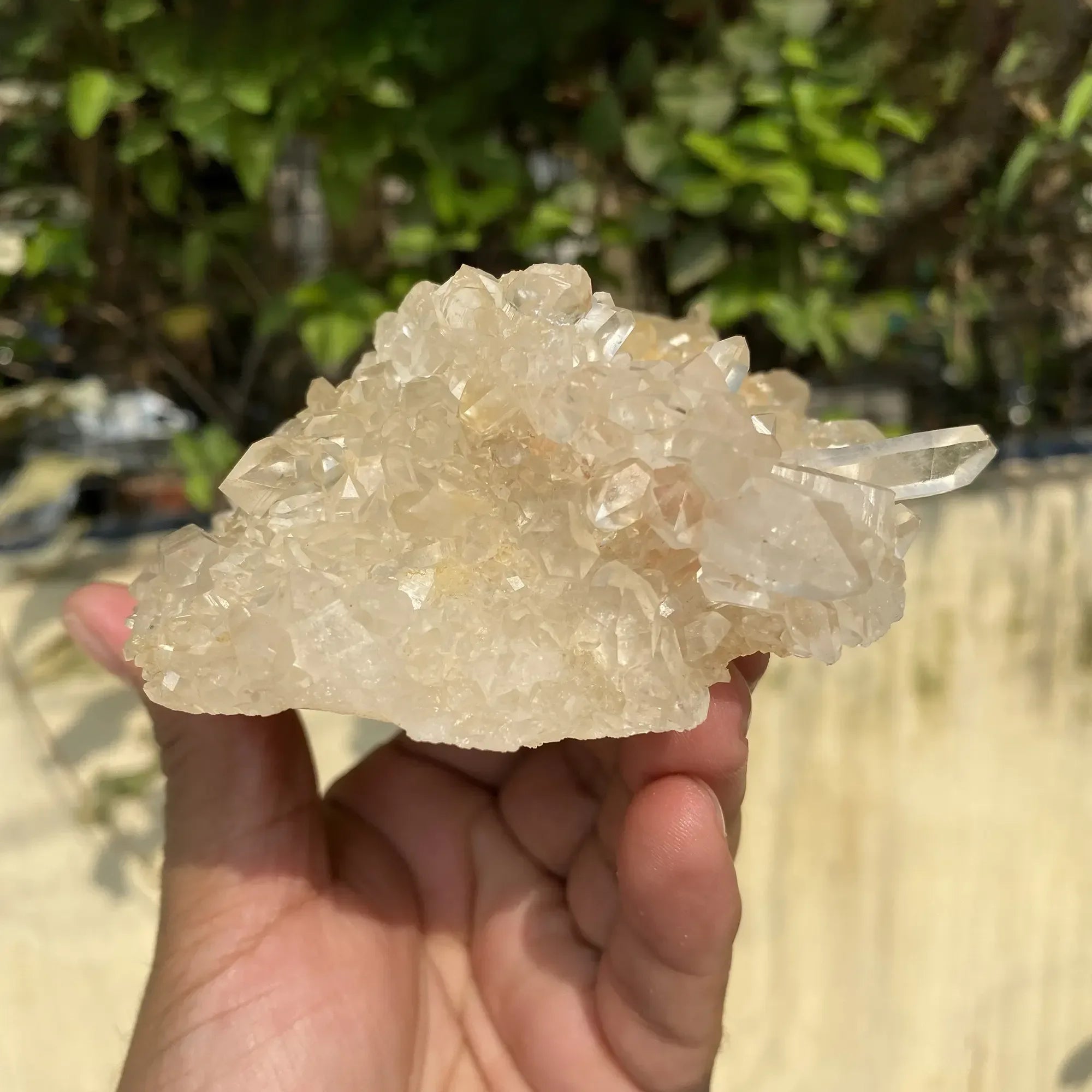 Natural Himalayan White + Yellow Quartz Cluster 670g Himalayan Quartz