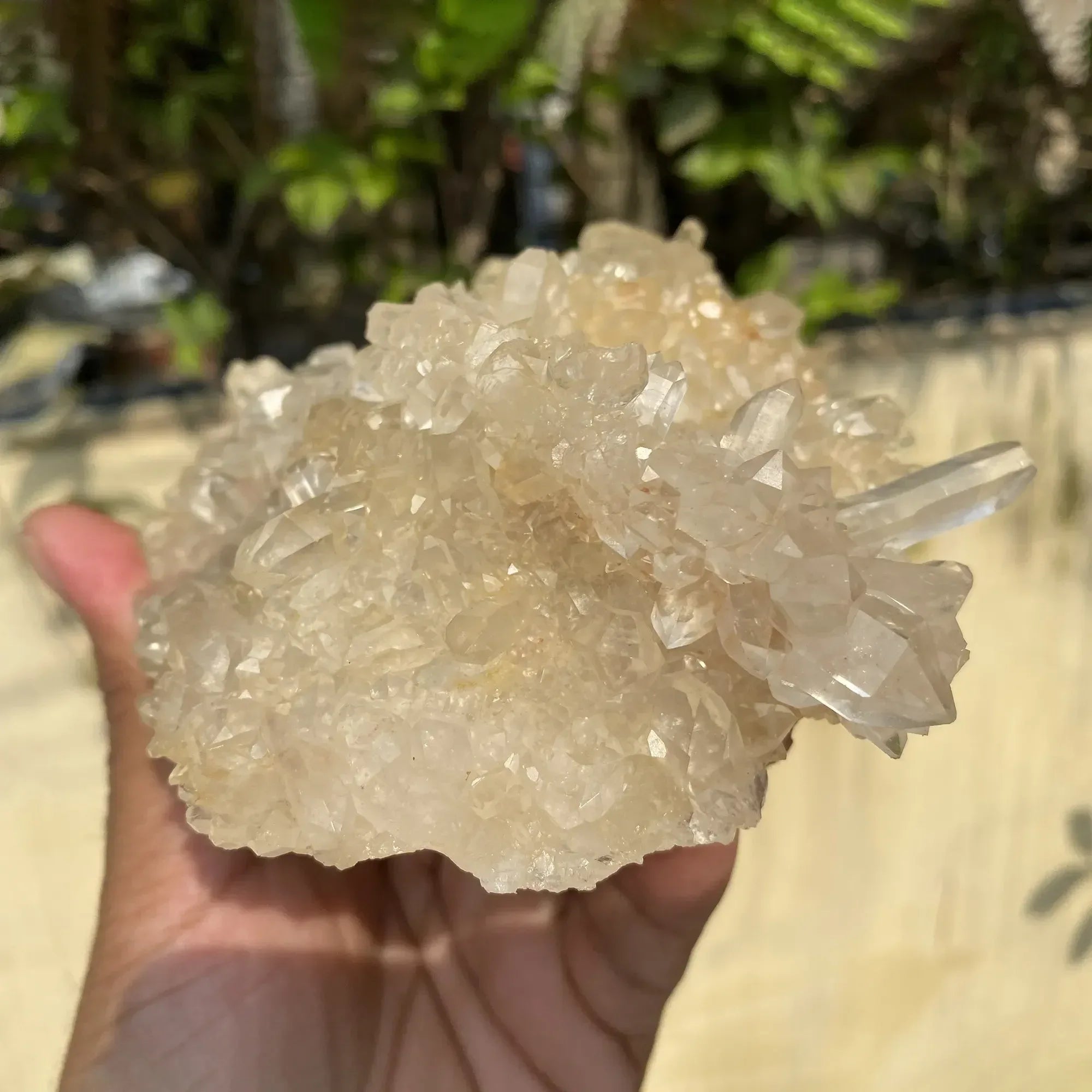 Natural Himalayan White + Yellow Quartz Cluster 670g Himalayan Quartz