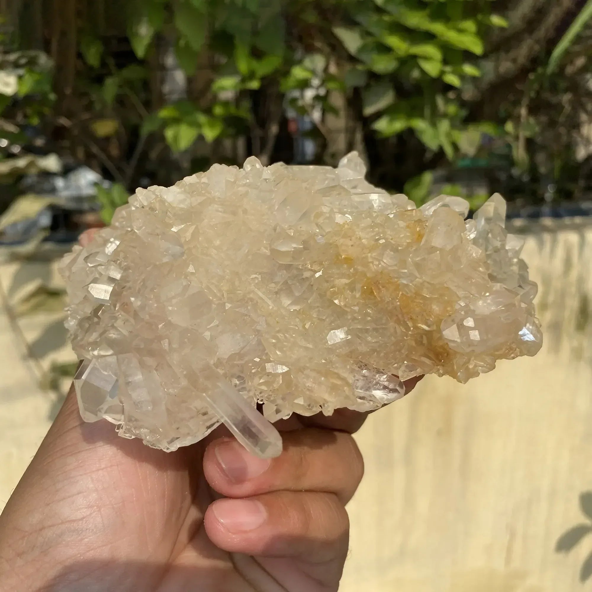 Natural Himalayan White + Yellow Quartz Cluster 670g Himalayan Quartz