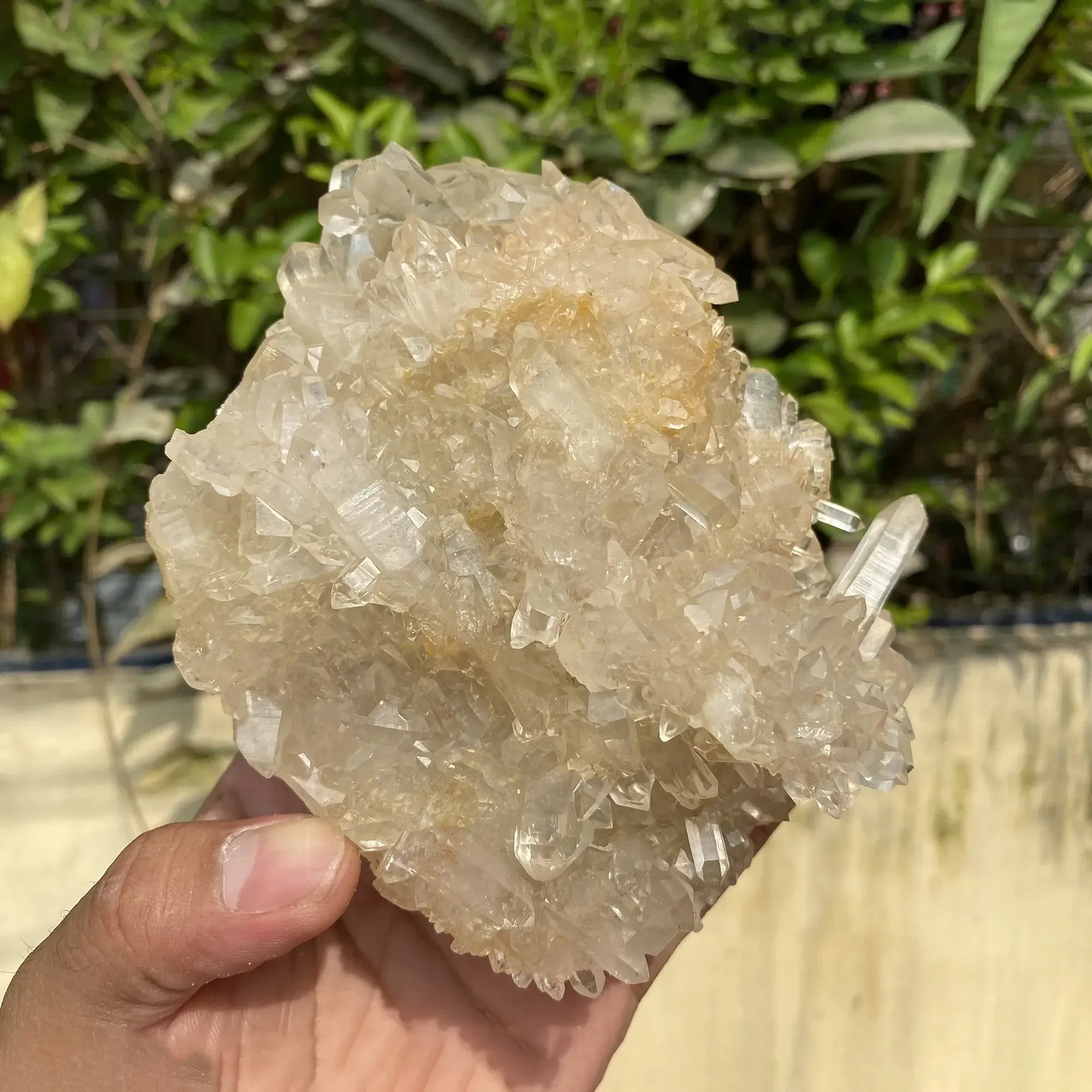 Natural Himalayan White + Yellow Quartz Cluster 670g Himalayan Quartz