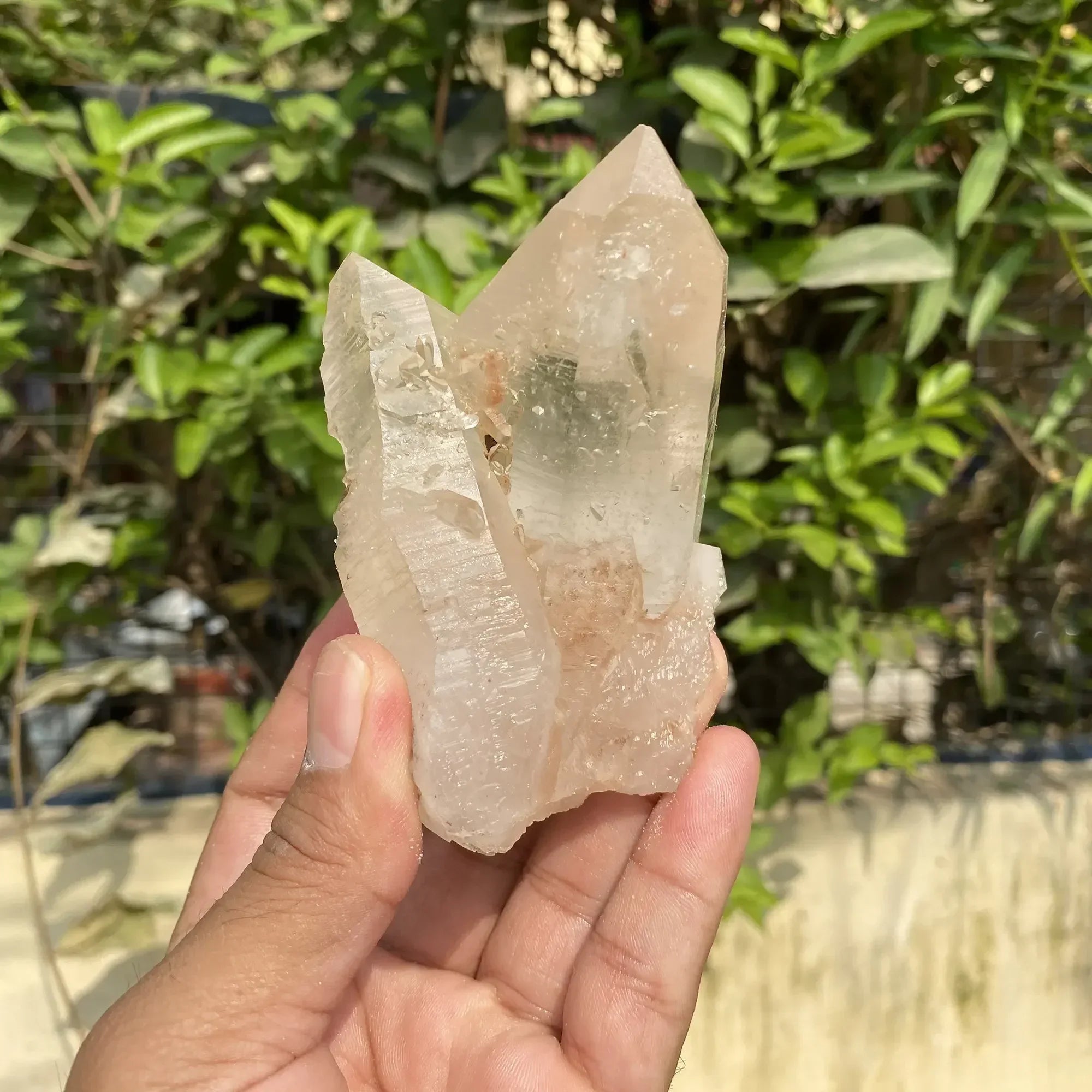Natural Himalayan Pink Quartz Cluster 375g Himalayan Quartz