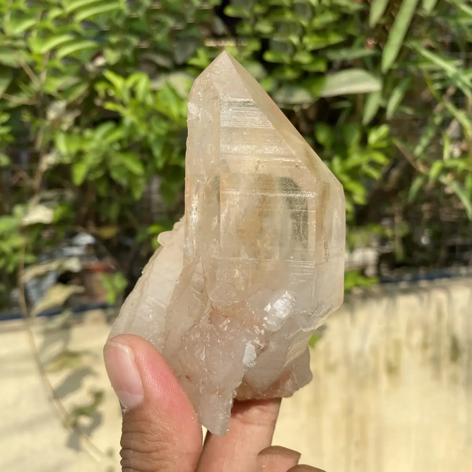 Natural Himalayan Pink Quartz Cluster 375g Himalayan Quartz