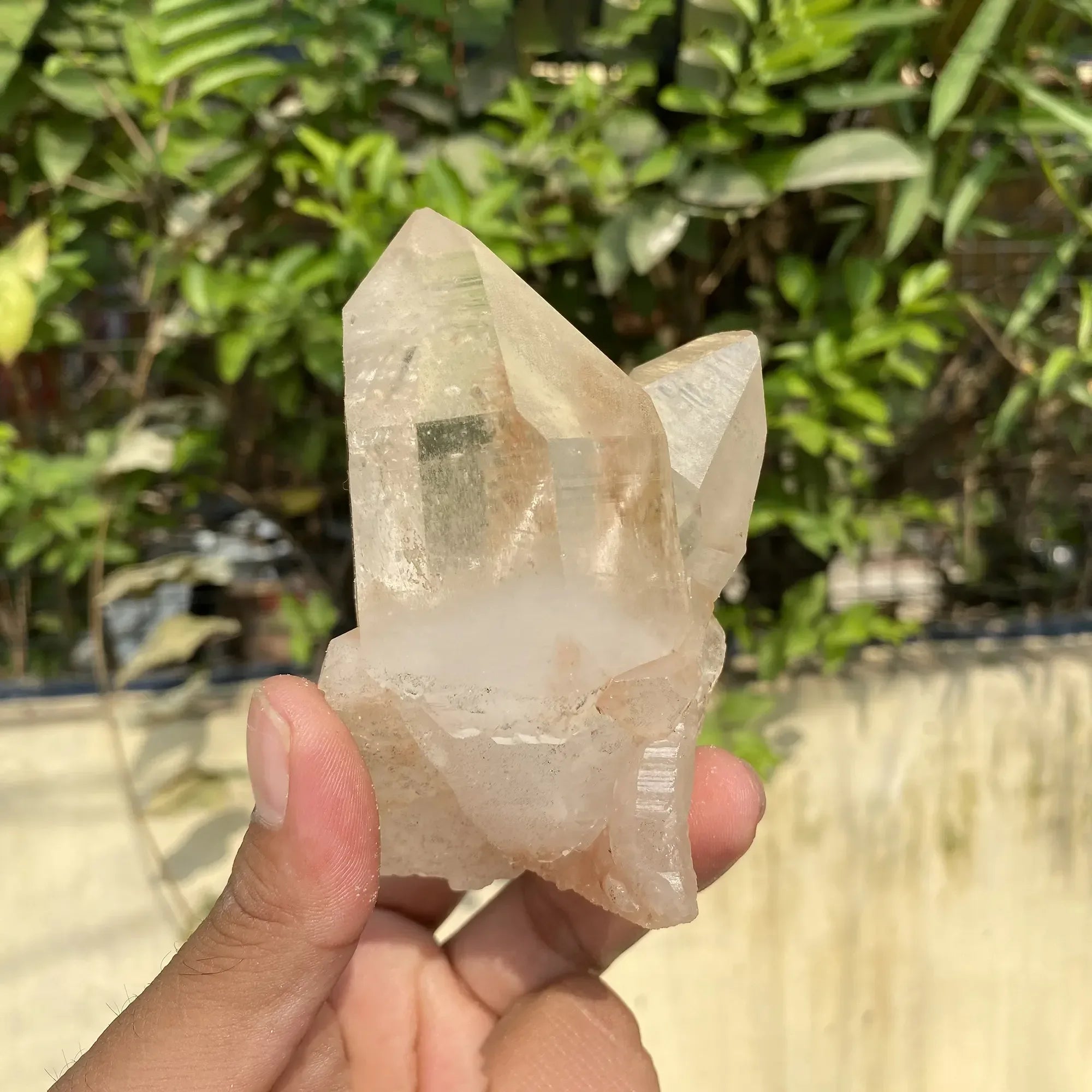 Natural Himalayan Pink Quartz Cluster 375g Himalayan Quartz