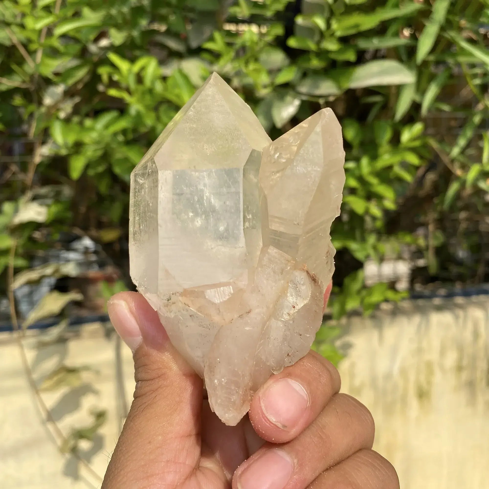 Natural Himalayan Pink Quartz Cluster 375g Himalayan Quartz