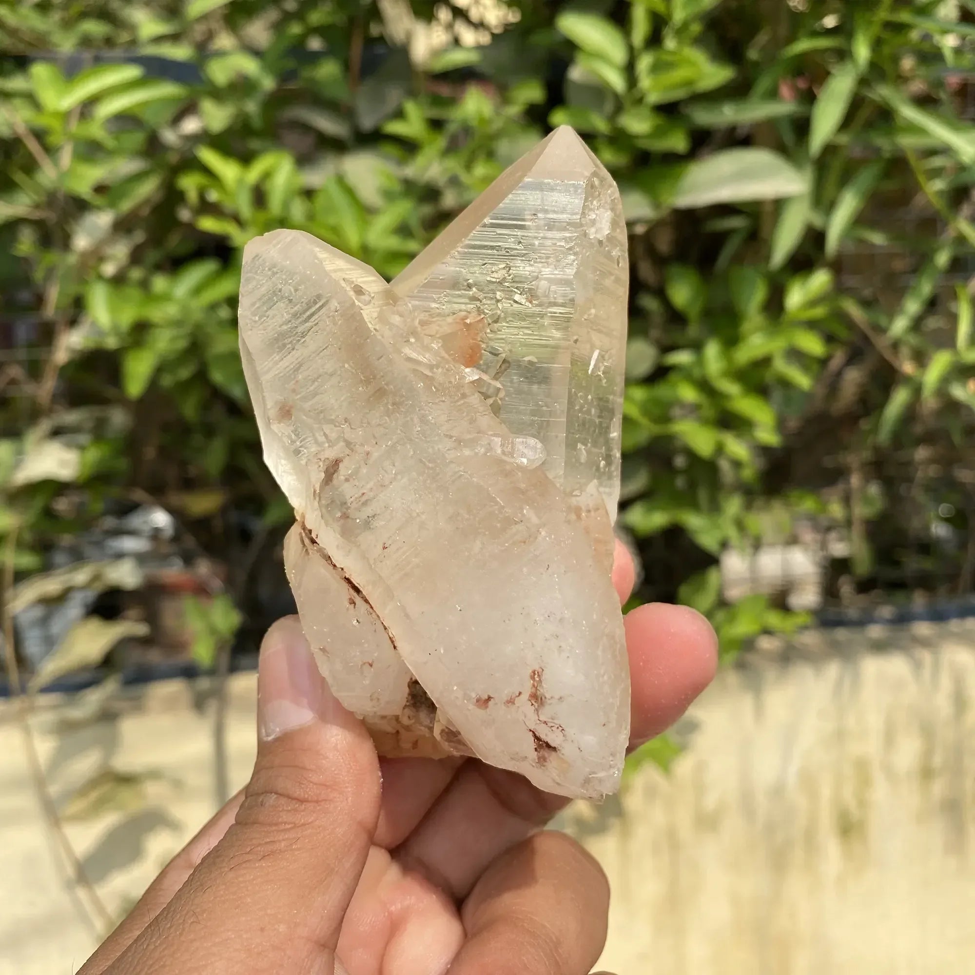 Natural Himalayan Pink Quartz Cluster 375g Himalayan Quartz