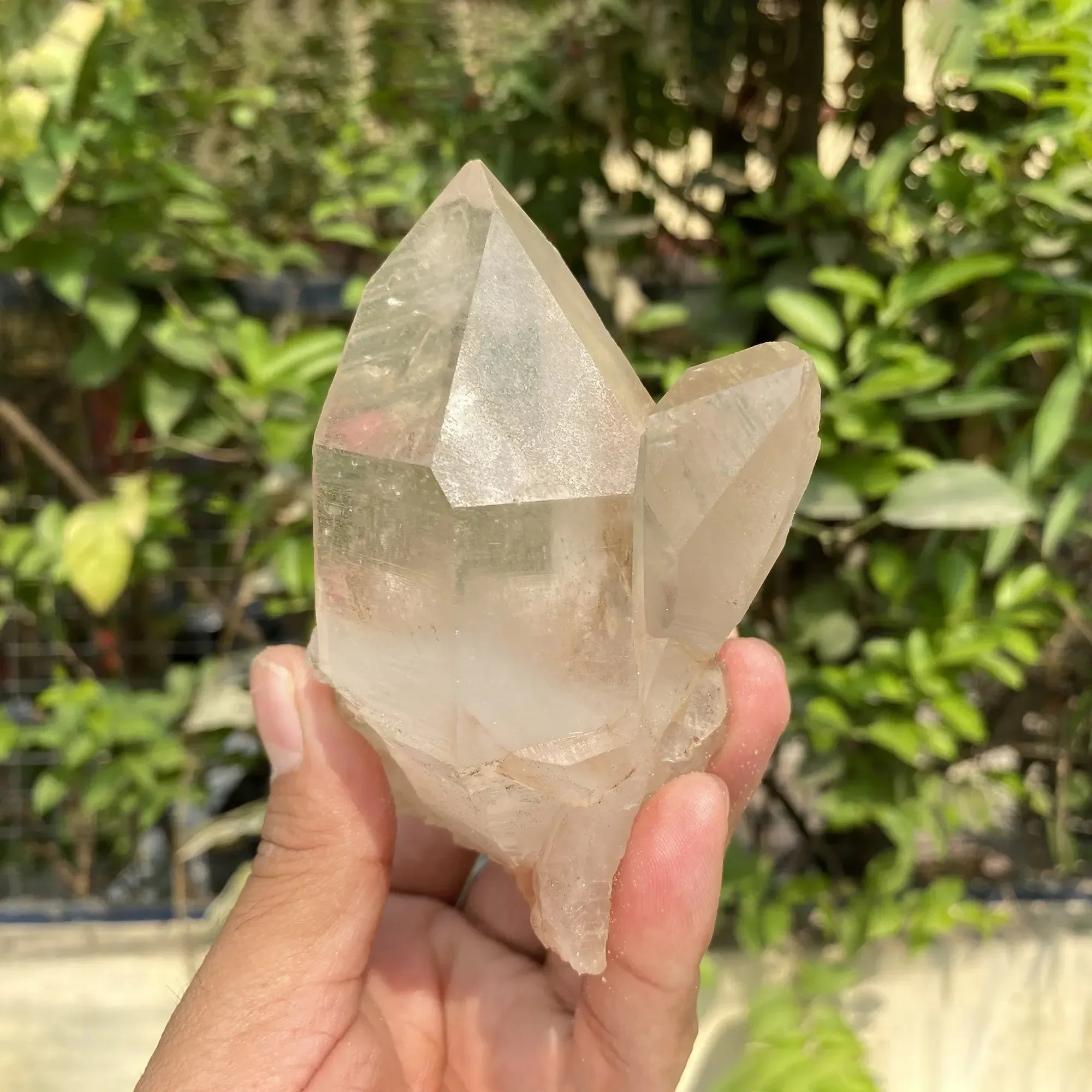Natural Himalayan Pink Quartz Cluster 375g Himalayan Quartz