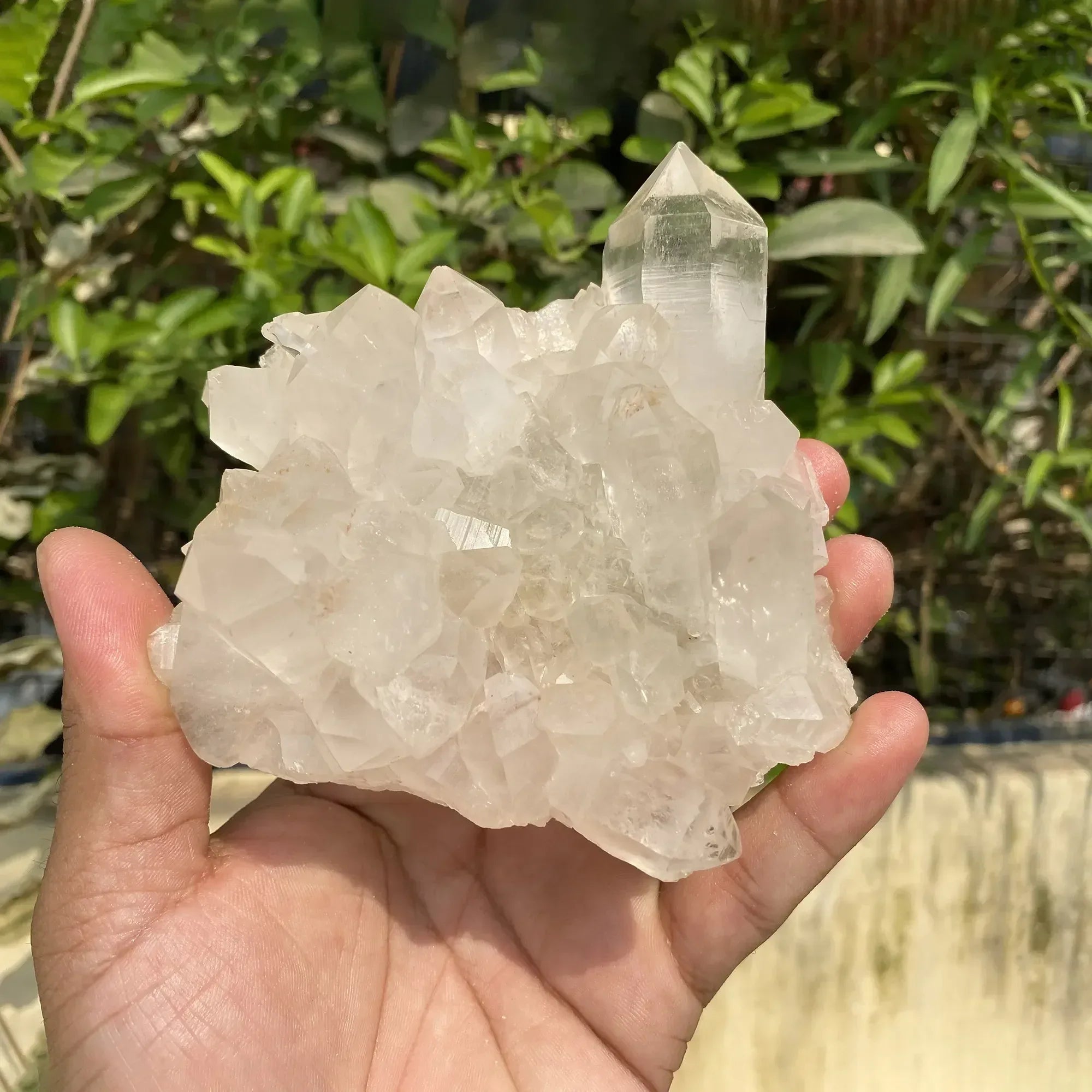 Natural Himalayan White Quartz Cluster 420g Himalayan Quartz