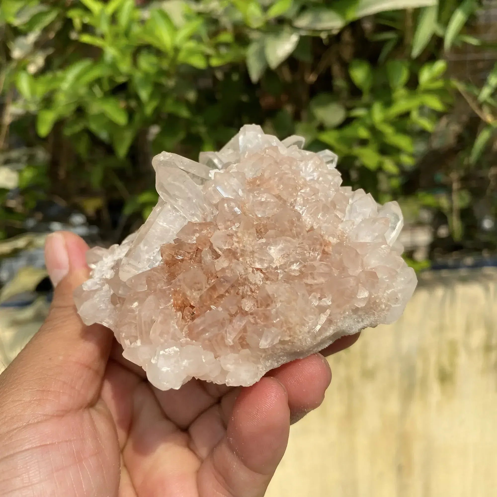 Natural Himalayan Pink Quartz Cluster 425g Himalayan Quartz