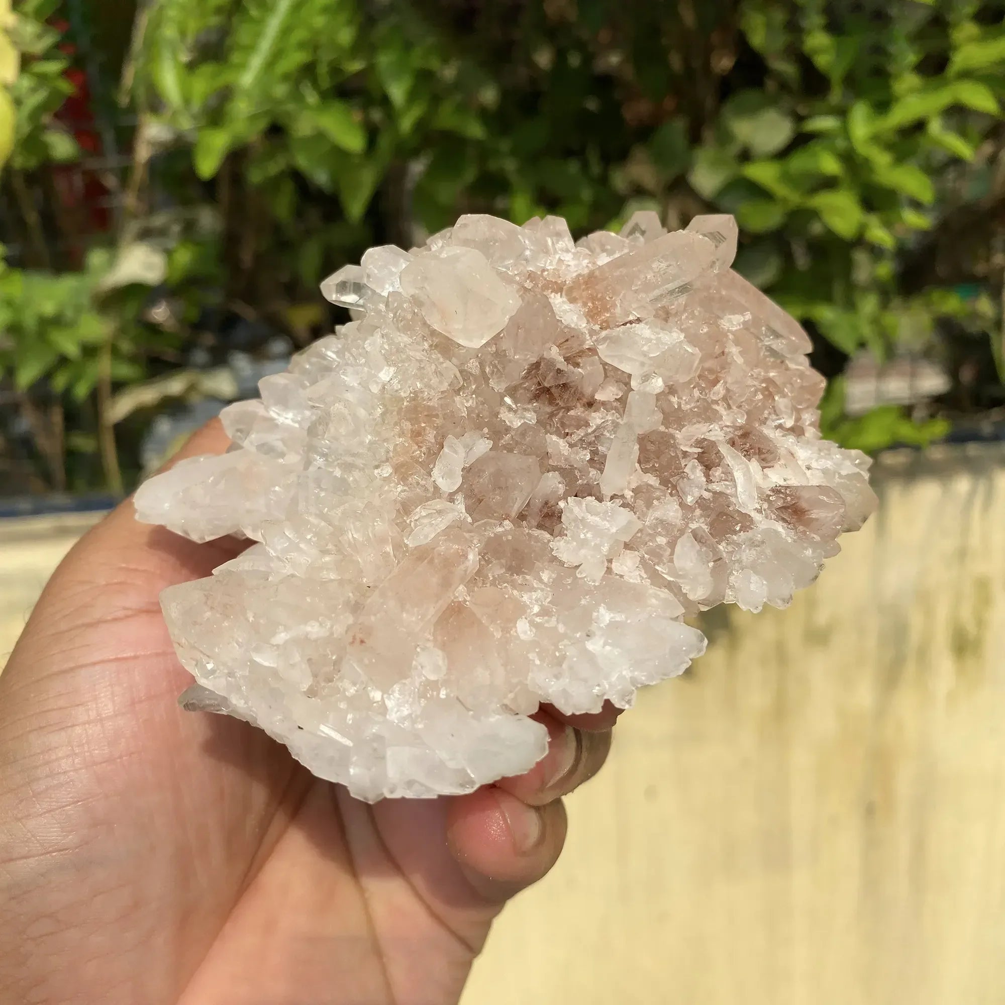 Natural Himalayan Pink Quartz Cluster 425g Himalayan Quartz