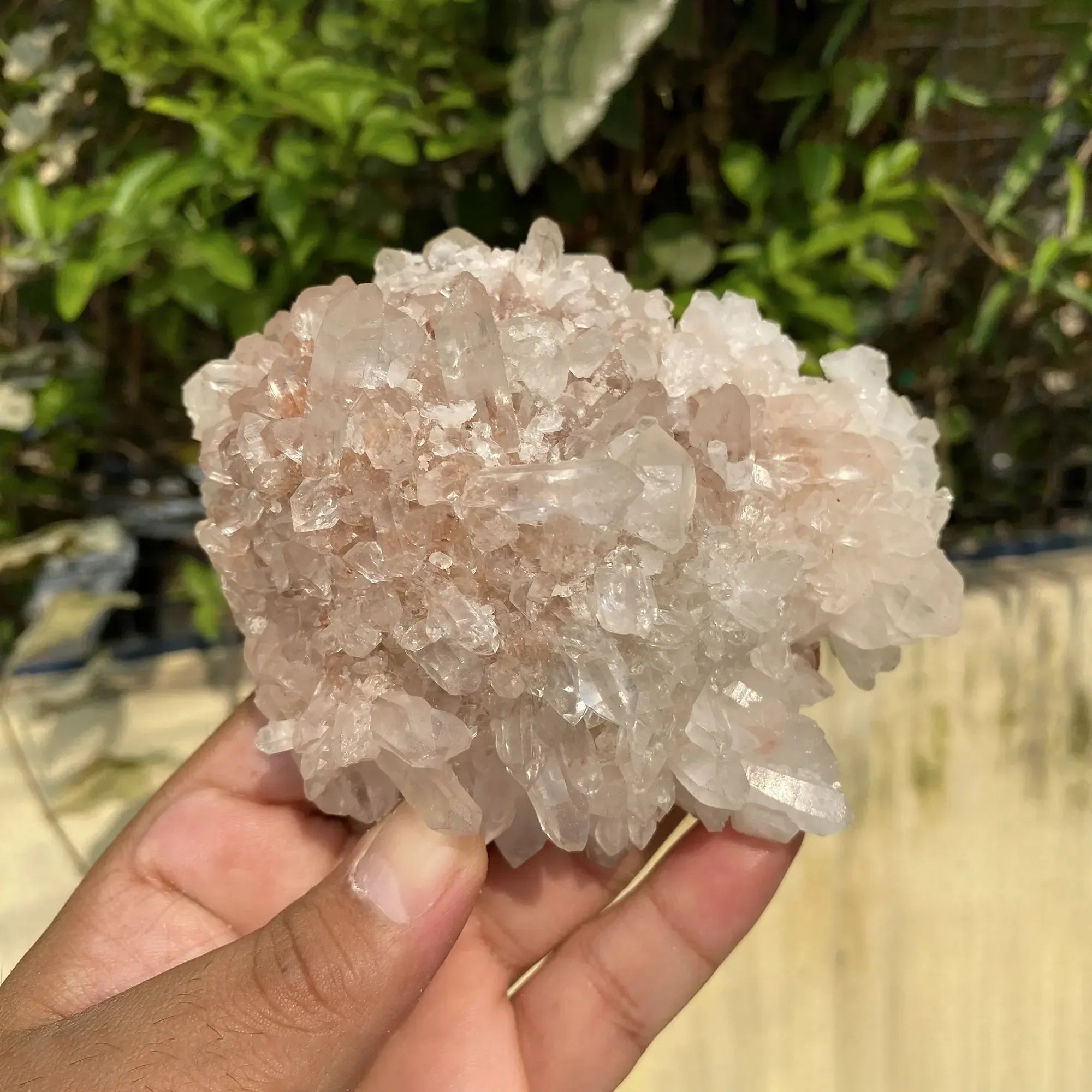 Natural Himalayan Pink Quartz Cluster 425g Himalayan Quartz