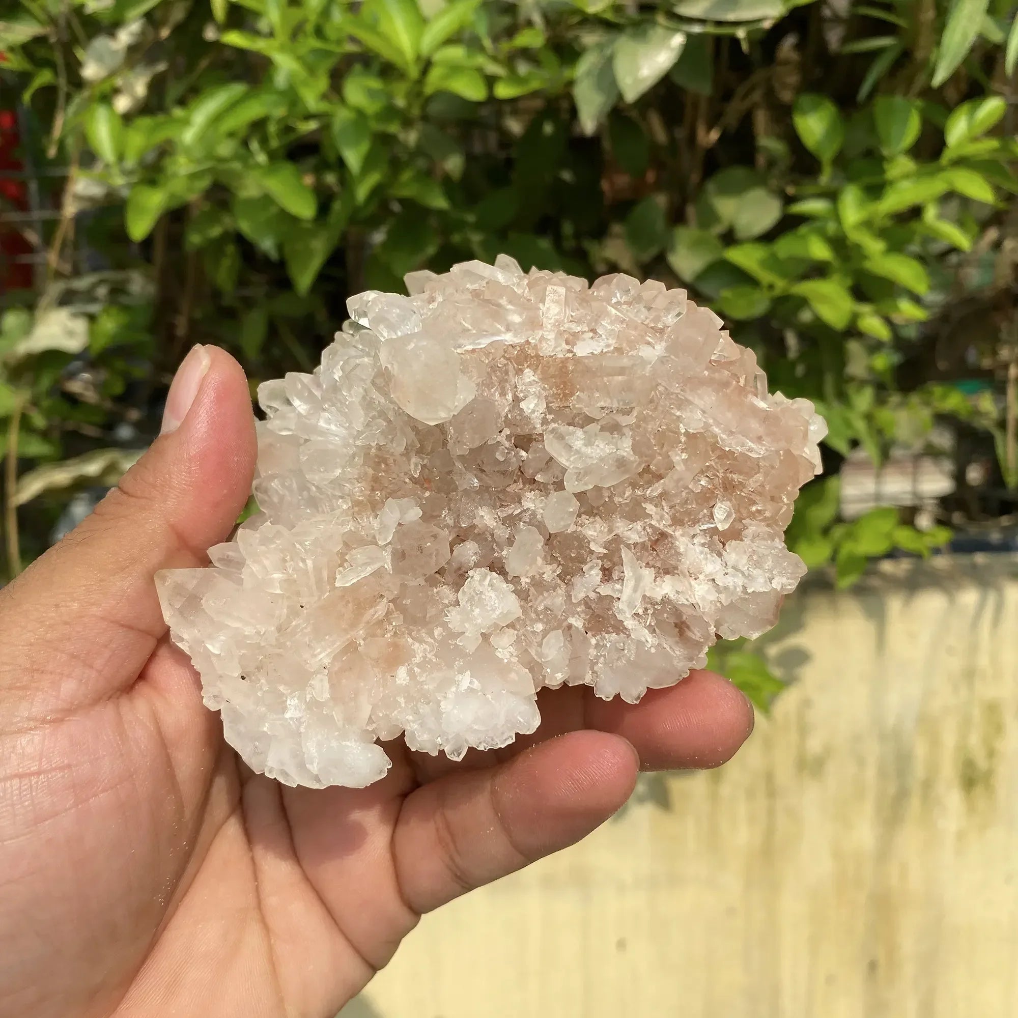 Natural Himalayan Pink Quartz Cluster 425g Himalayan Quartz