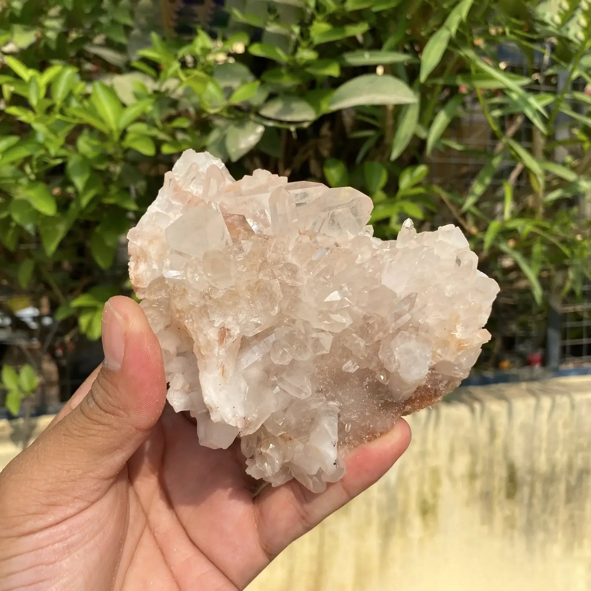 Natural Himalayan Pink Quartz Cluster 430g Himalayan Quartz