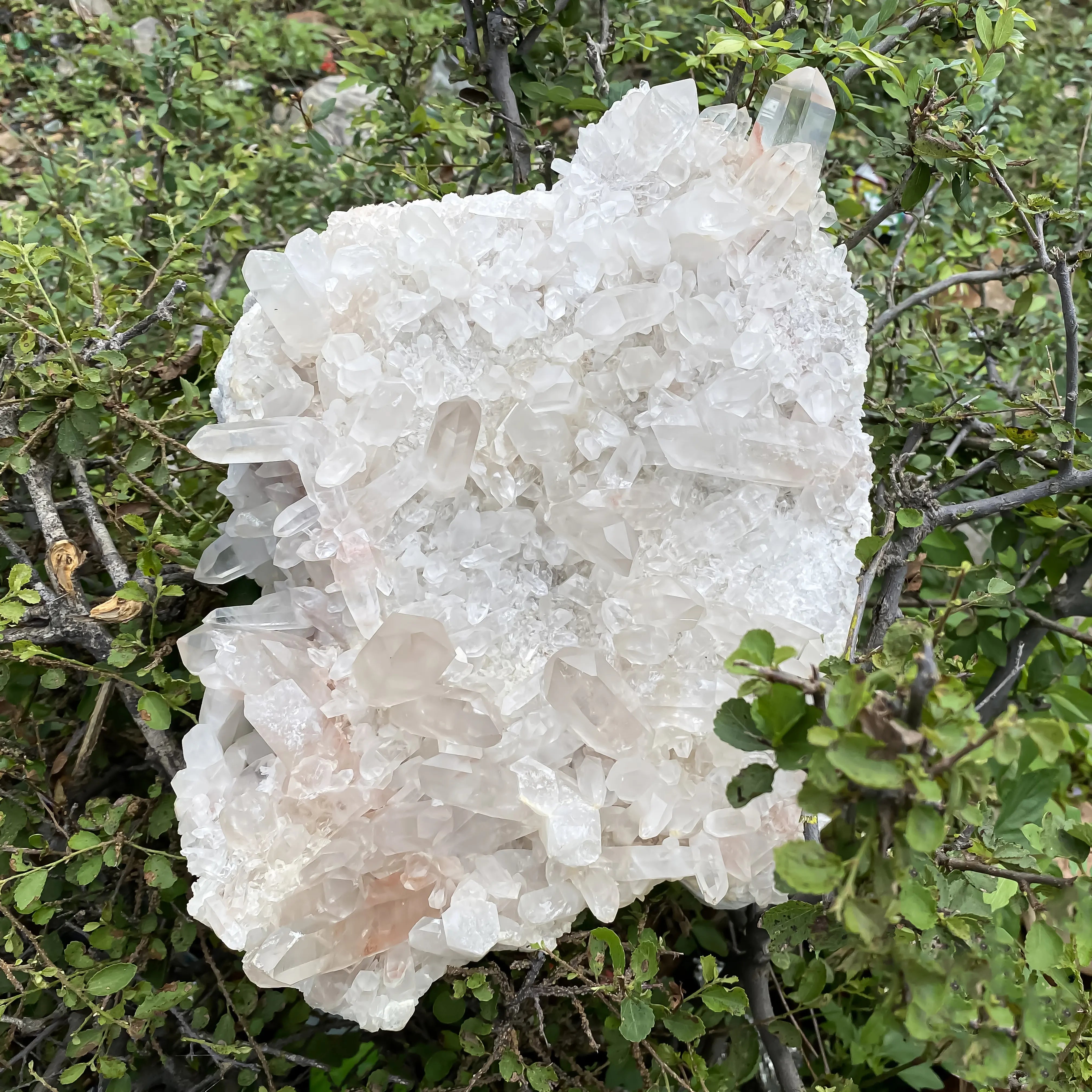 Himalayan Pink Quartz Cluster  – Large Natural Healing Stone 9450grams