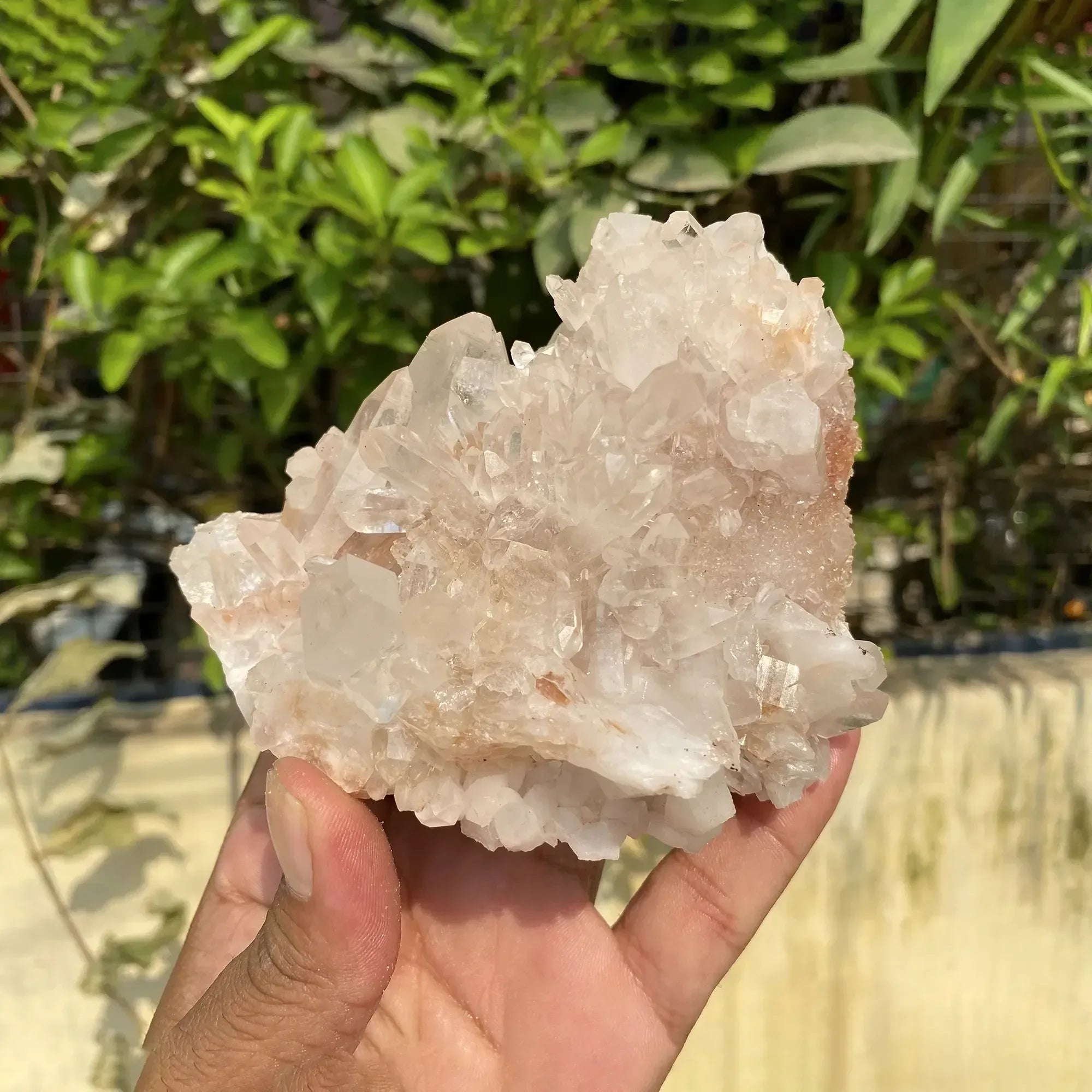 Natural Himalayan Pink Quartz Cluster 430g Himalayan Quartz