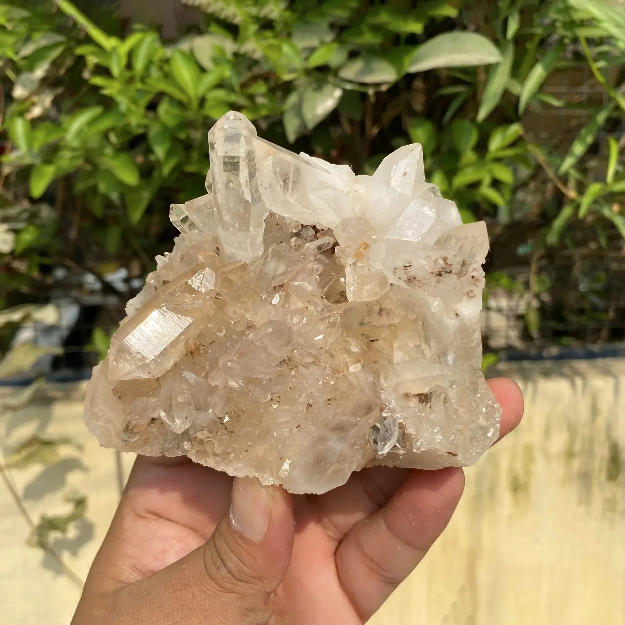 Natural Himalayan Pink Quartz Cluster 415g Himalayan Quartz