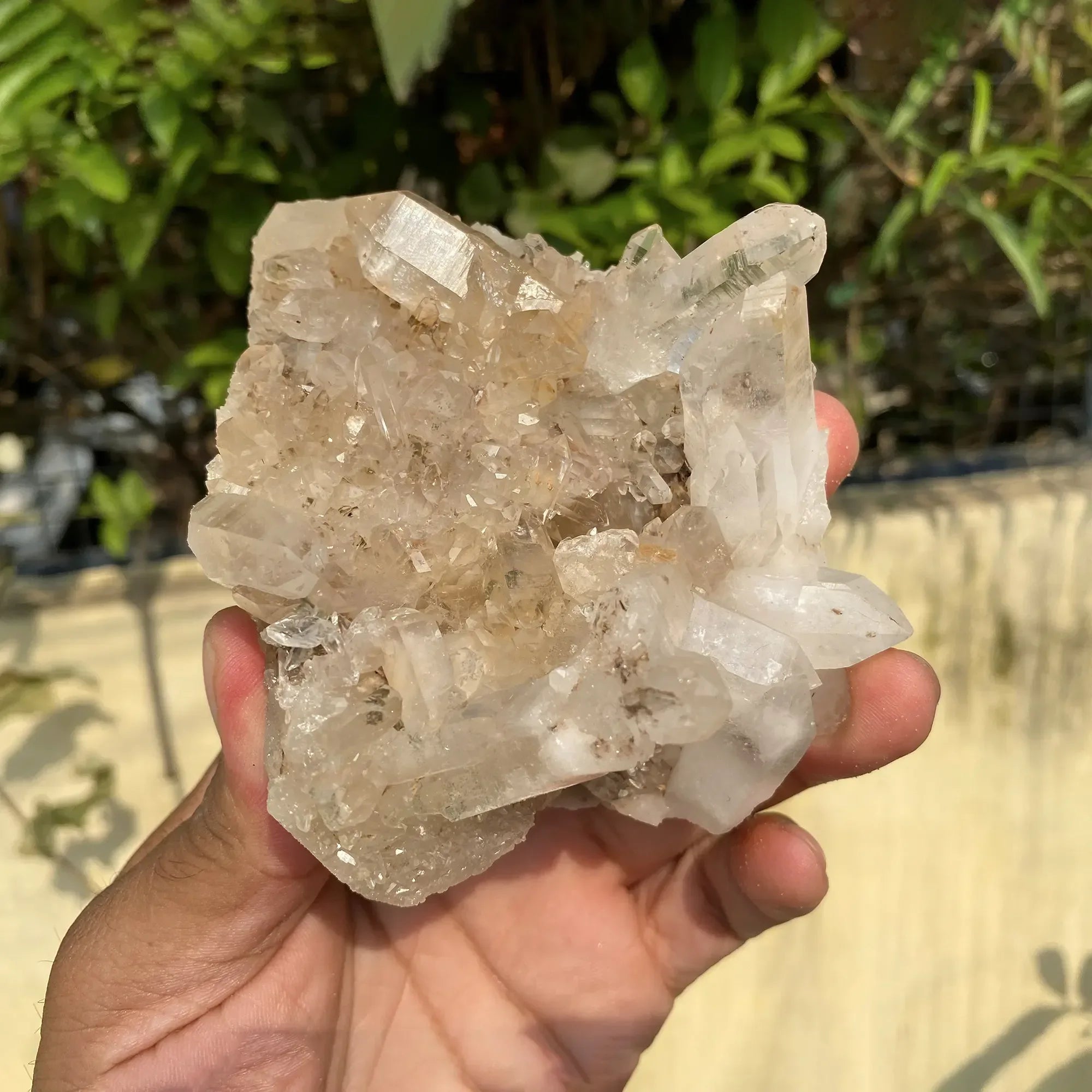 Natural Himalayan Pink Quartz Cluster 415g Himalayan Quartz