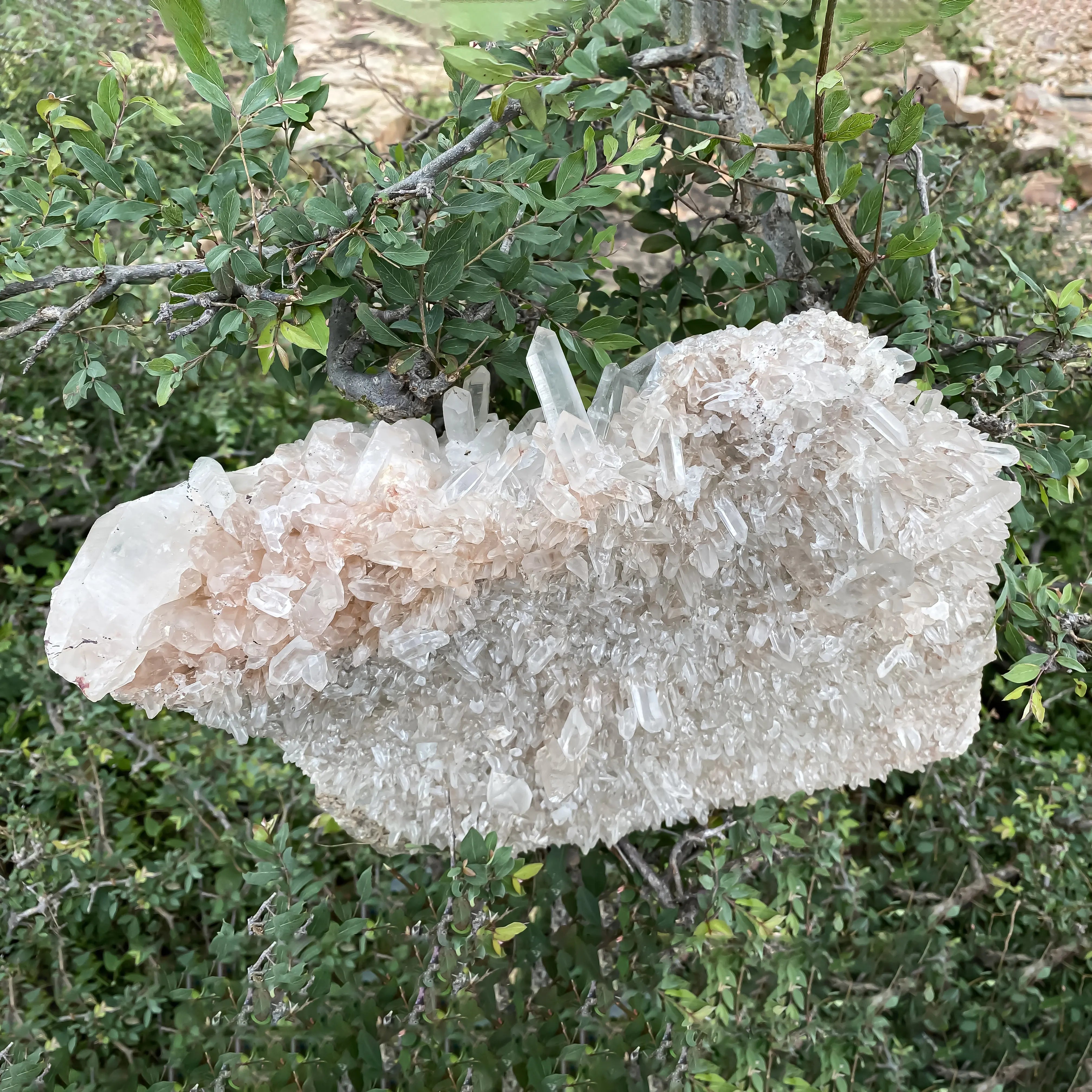 Himalayan Pink Quartz Cluster  – Natural Healing Crystal Stone