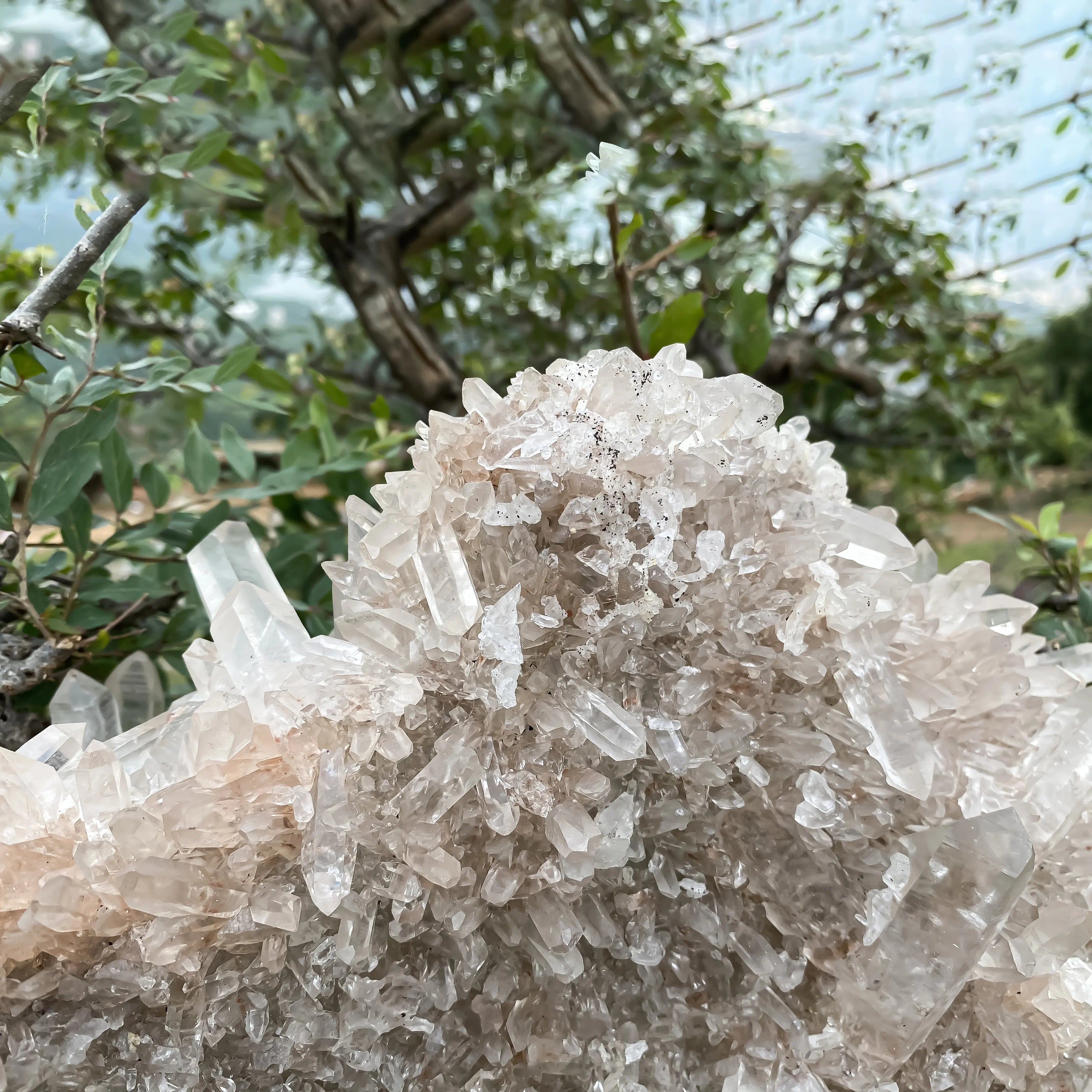 Himalayan Pink Quartz Cluster  – Natural Healing Crystal Stone