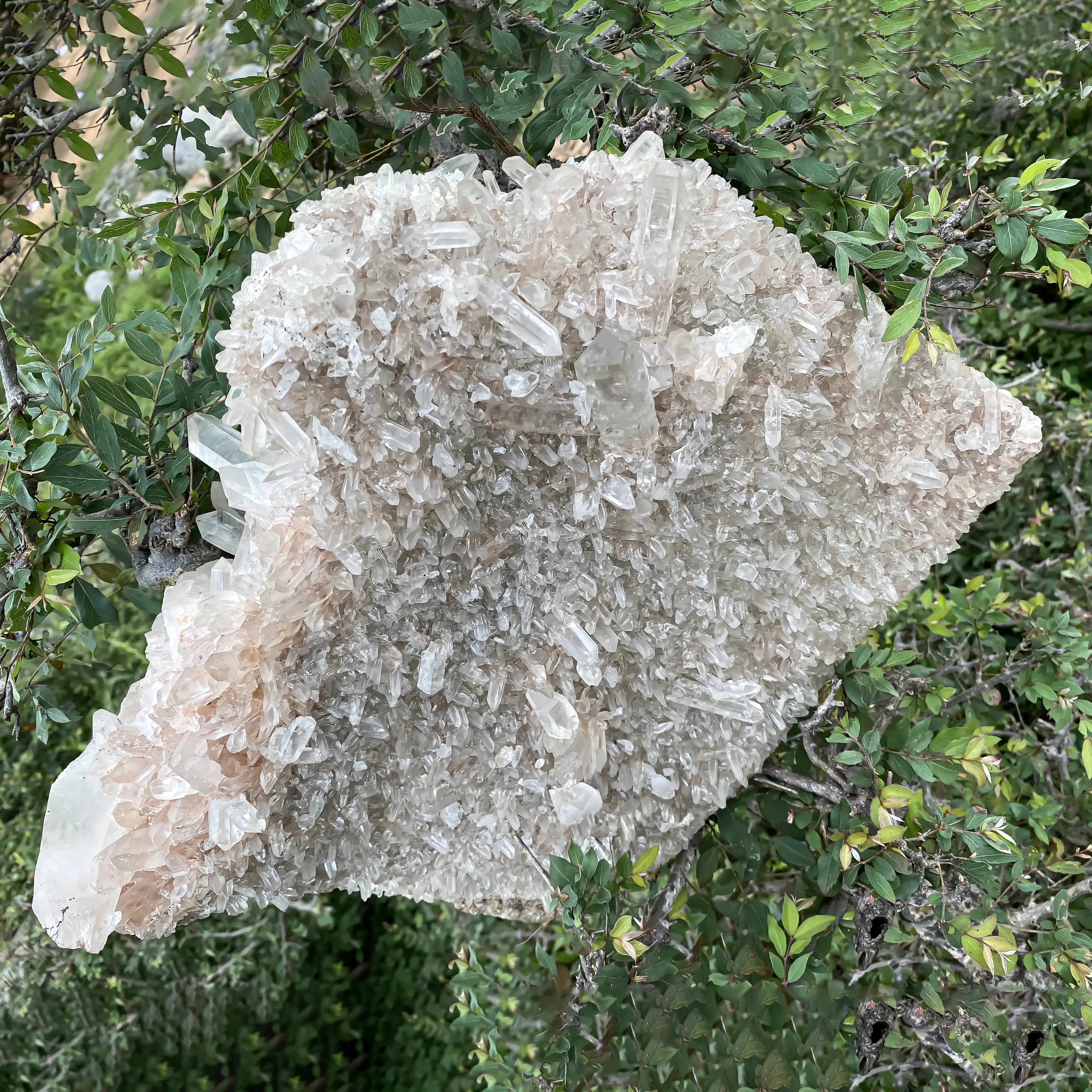 Himalayan Pink Quartz Cluster  – Natural Healing Crystal Stone