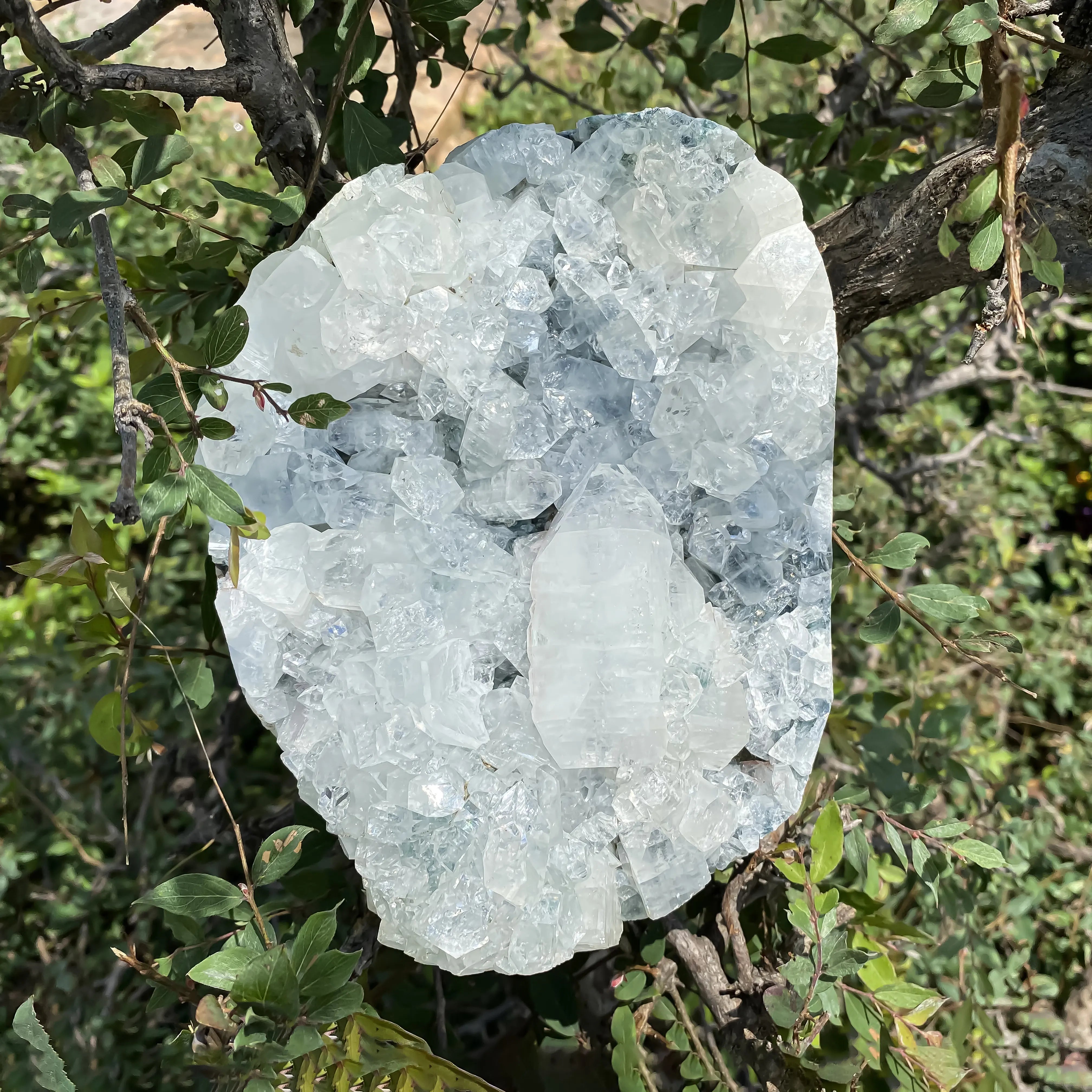 Natural Chalcedony Crystal 2320g Calming Mineral for Harmony