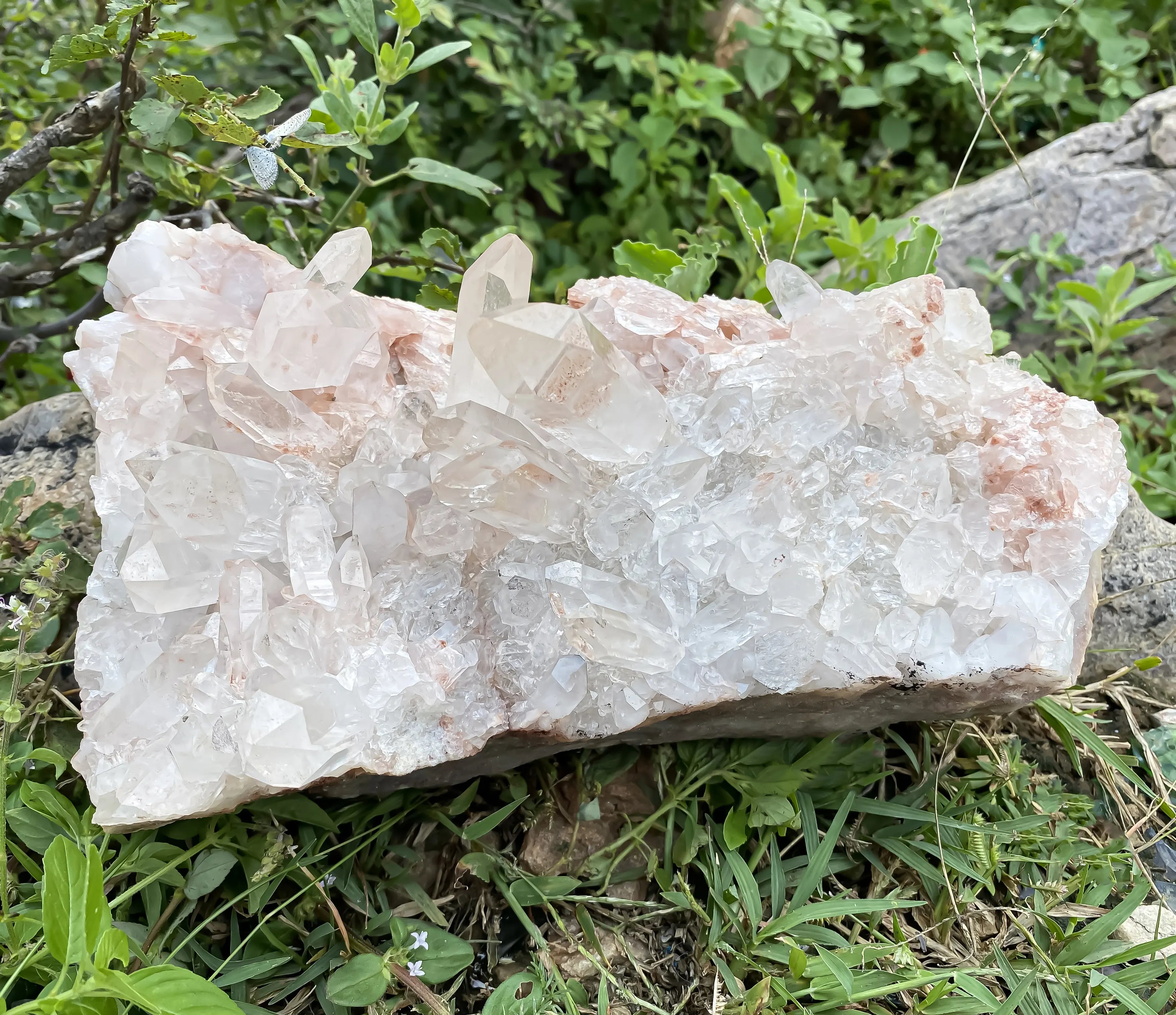 Natural Himalayan Pink Quartz Cluster – 2850 g  Raw Crystal Points