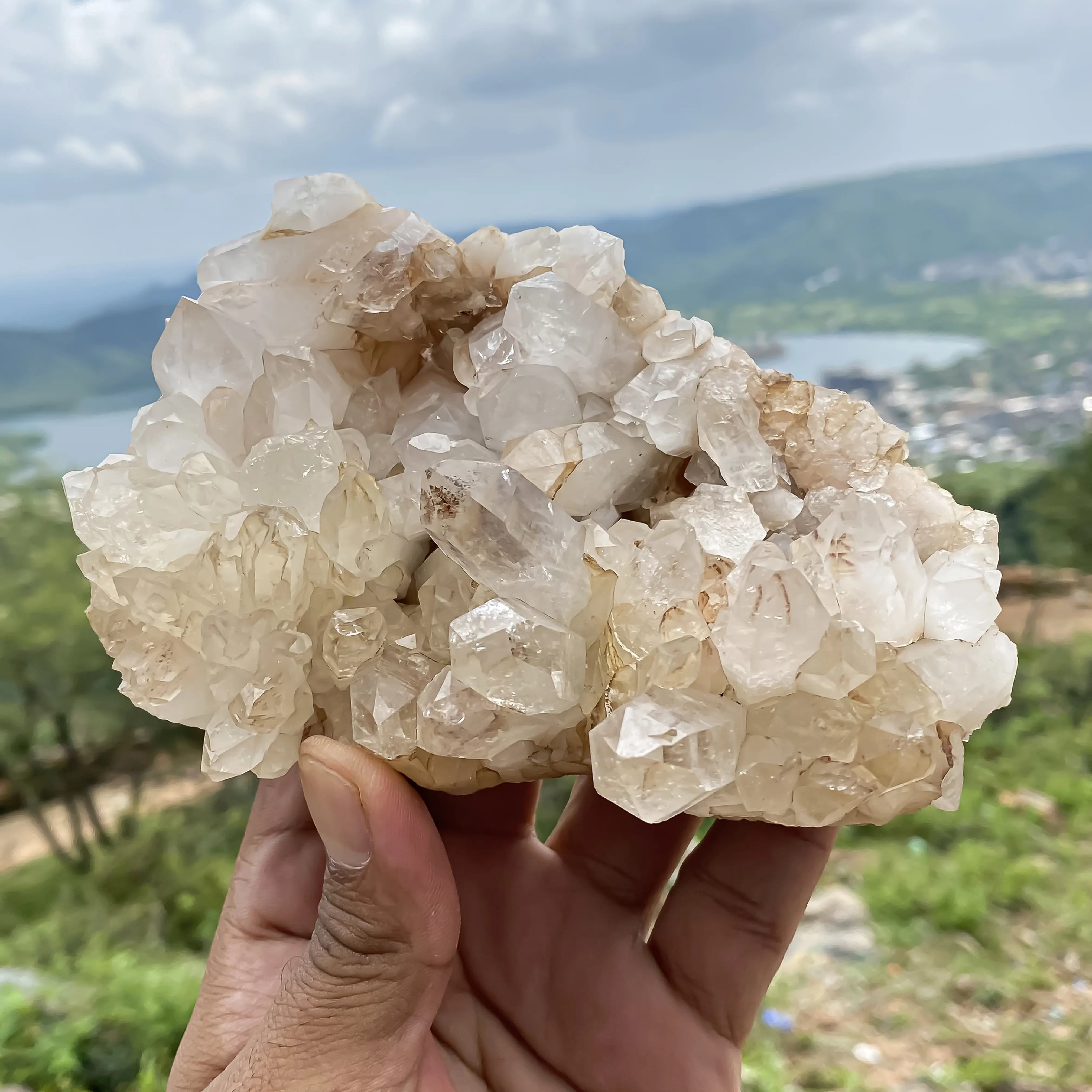 Natural Himalayan White Quartz Cluster 590 g Raw Crystal Points