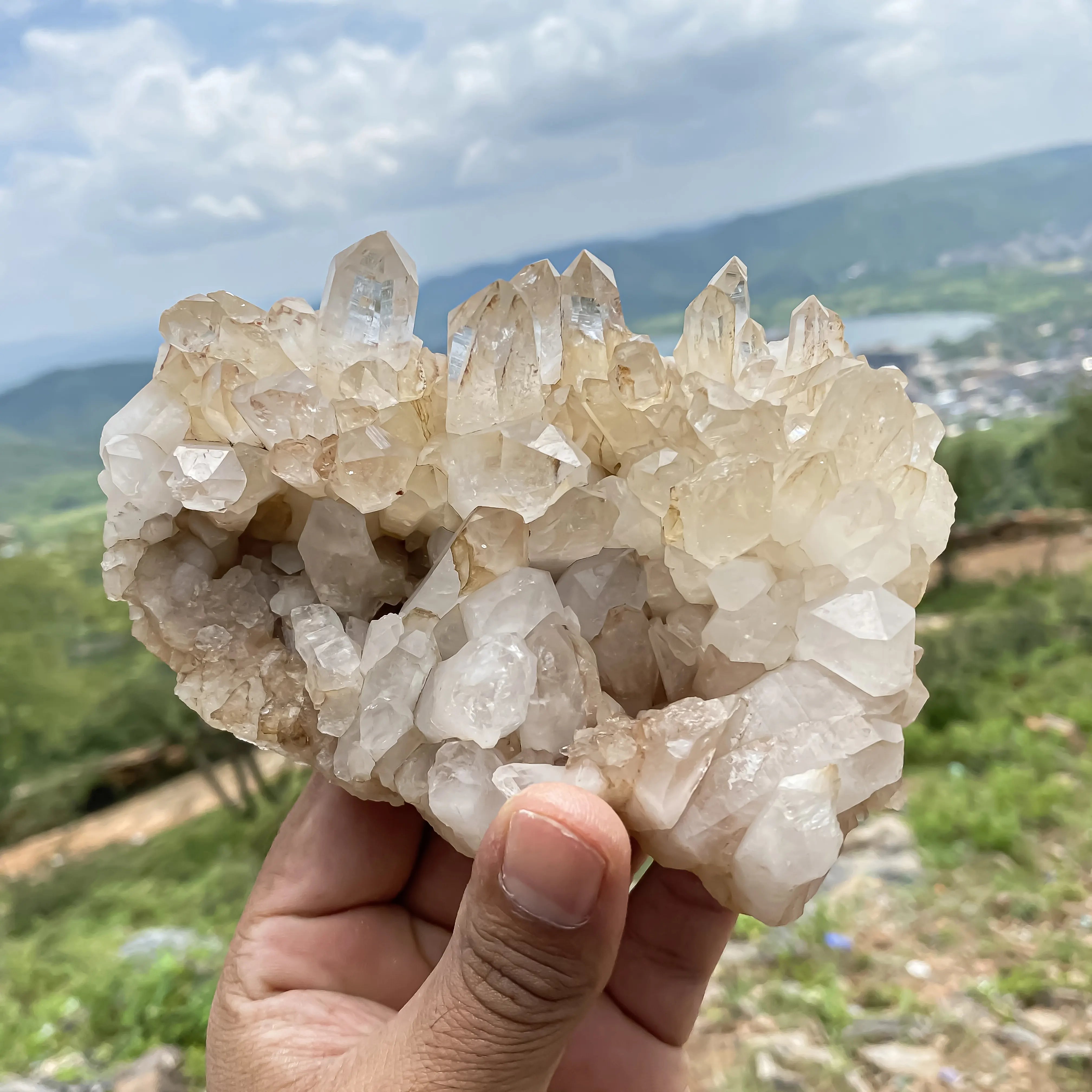 Natural Himalayan White Quartz Cluster 590 g Raw Crystal Points