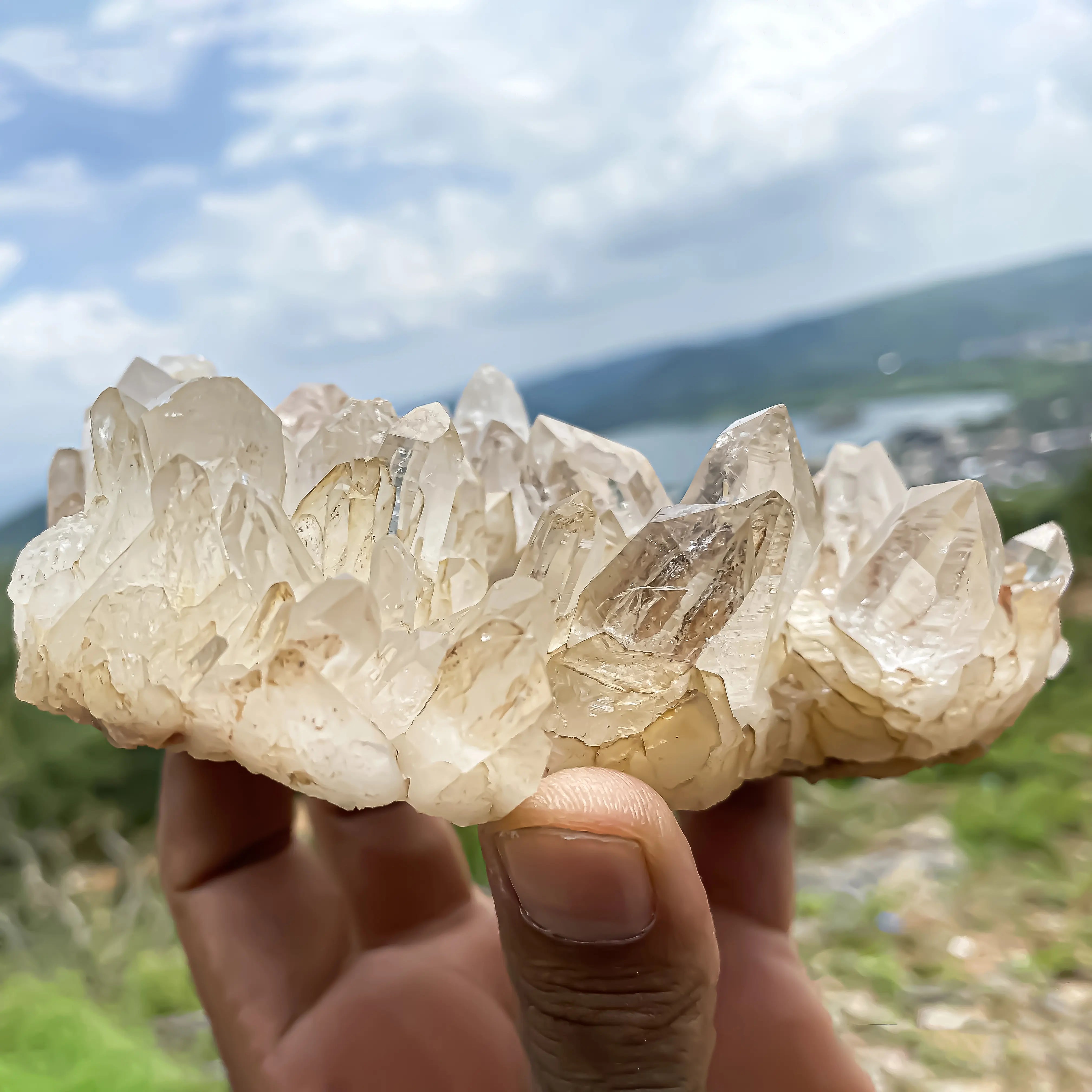 Natural Himalayan White Quartz Cluster 590 g Raw Crystal Points