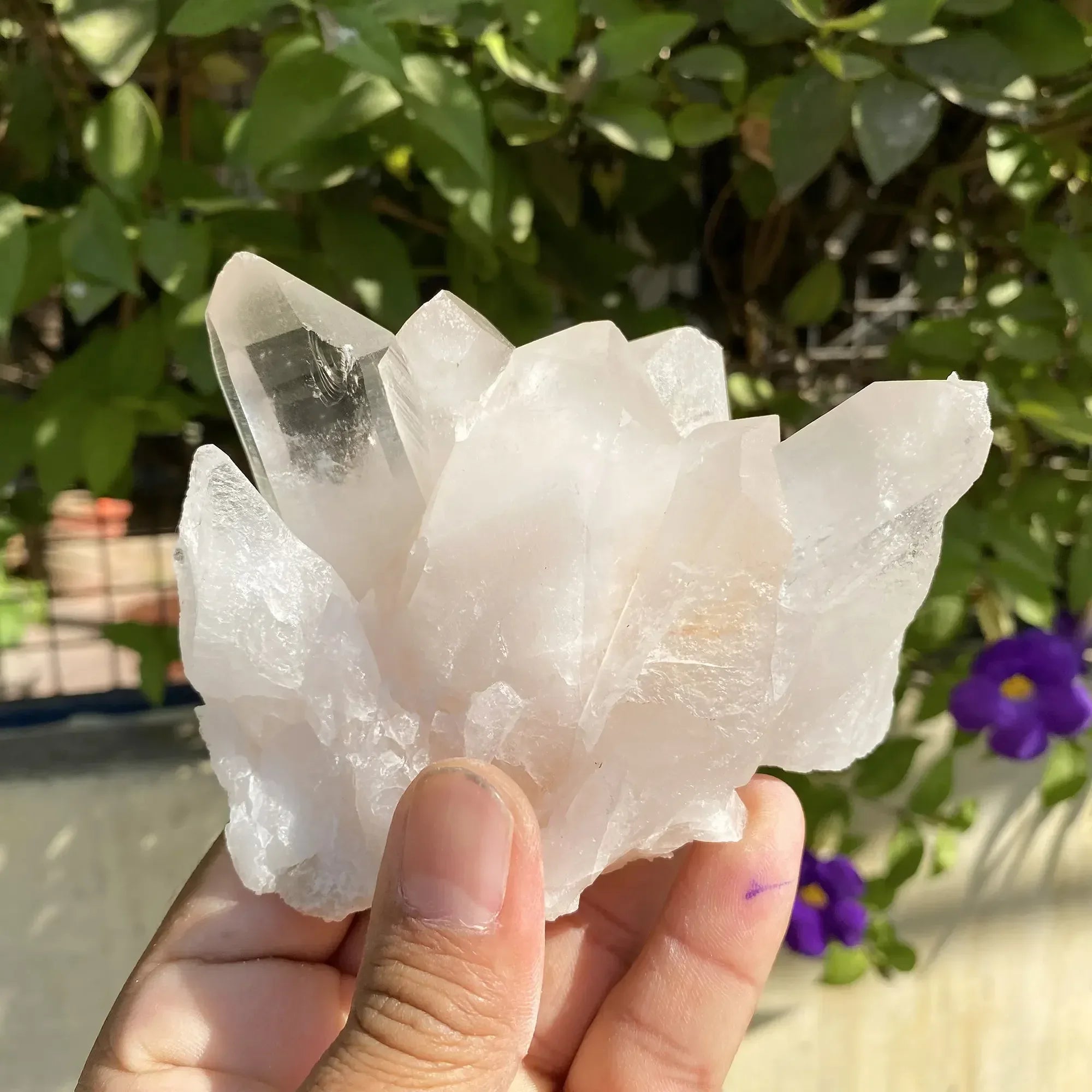 Natural Himalayan Pink Quartz Cluster 530g Himalayan Quartz