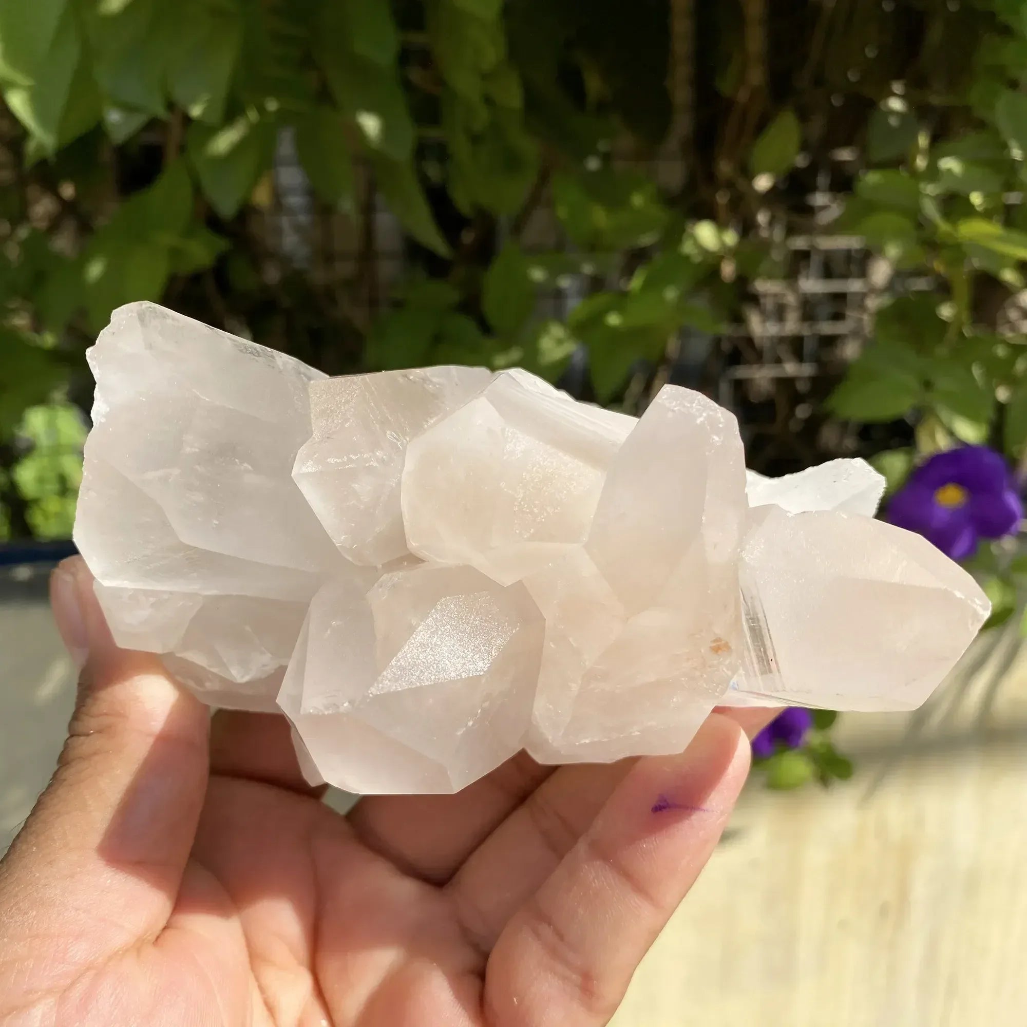 Natural Himalayan Pink Quartz Cluster 530g Himalayan Quartz