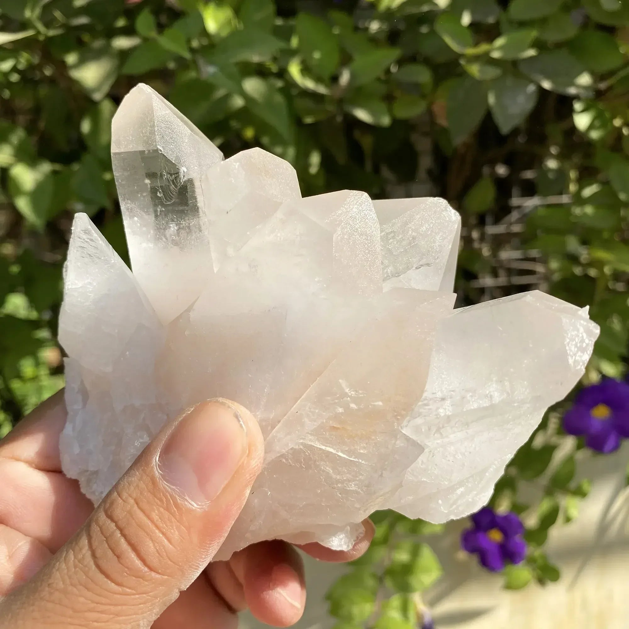 Natural Himalayan Pink Quartz Cluster 530g Himalayan Quartz