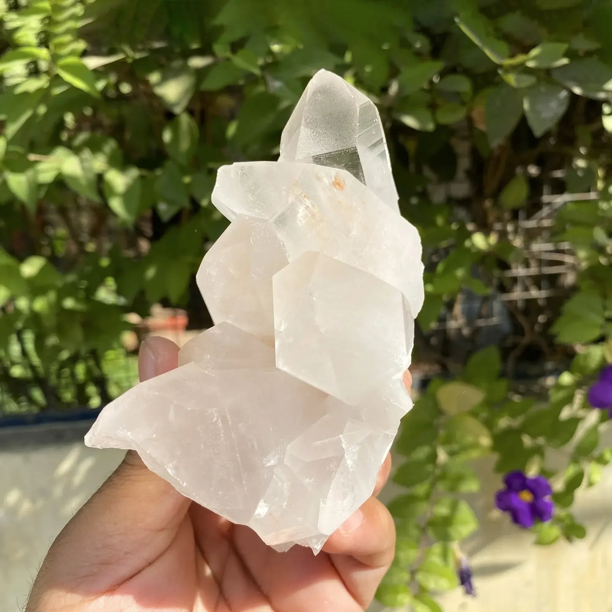 Natural Himalayan Pink Quartz Cluster 530g Himalayan Quartz