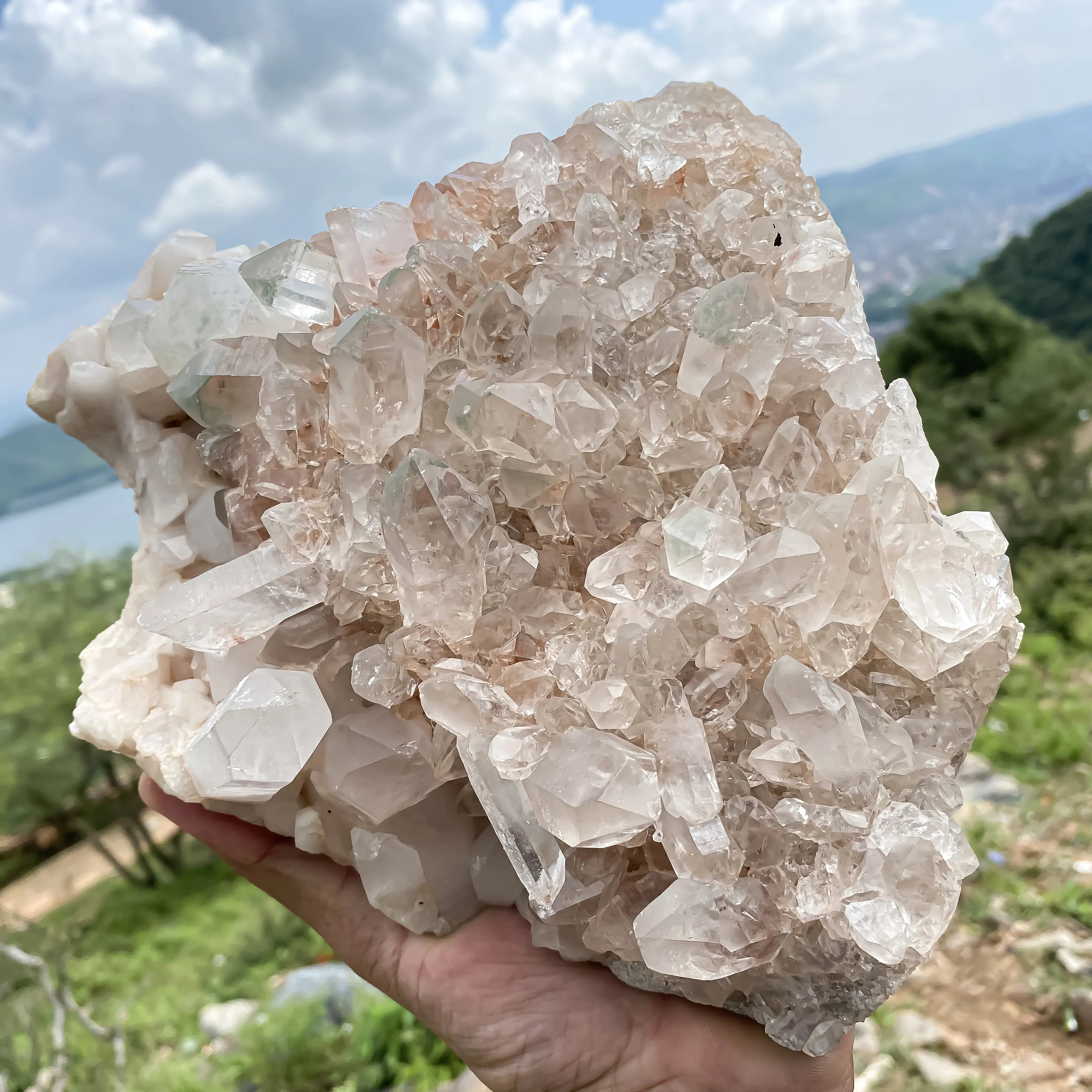 Natural Himalayan Pink Quartz Cluster – 2935 g  Raw Crystal Points